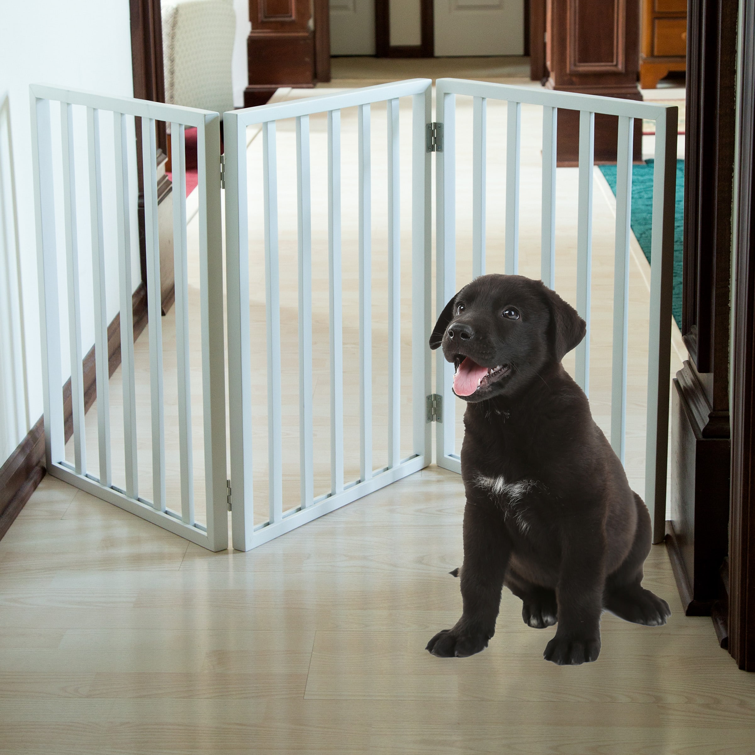 Lowes dog gate hotsell