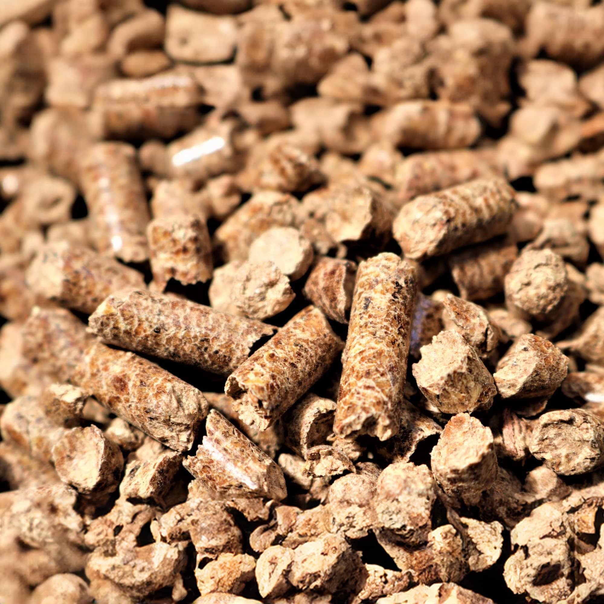 Bear Mountain Premium BBQ Woods FK12 Grilling-Pellets - View #3