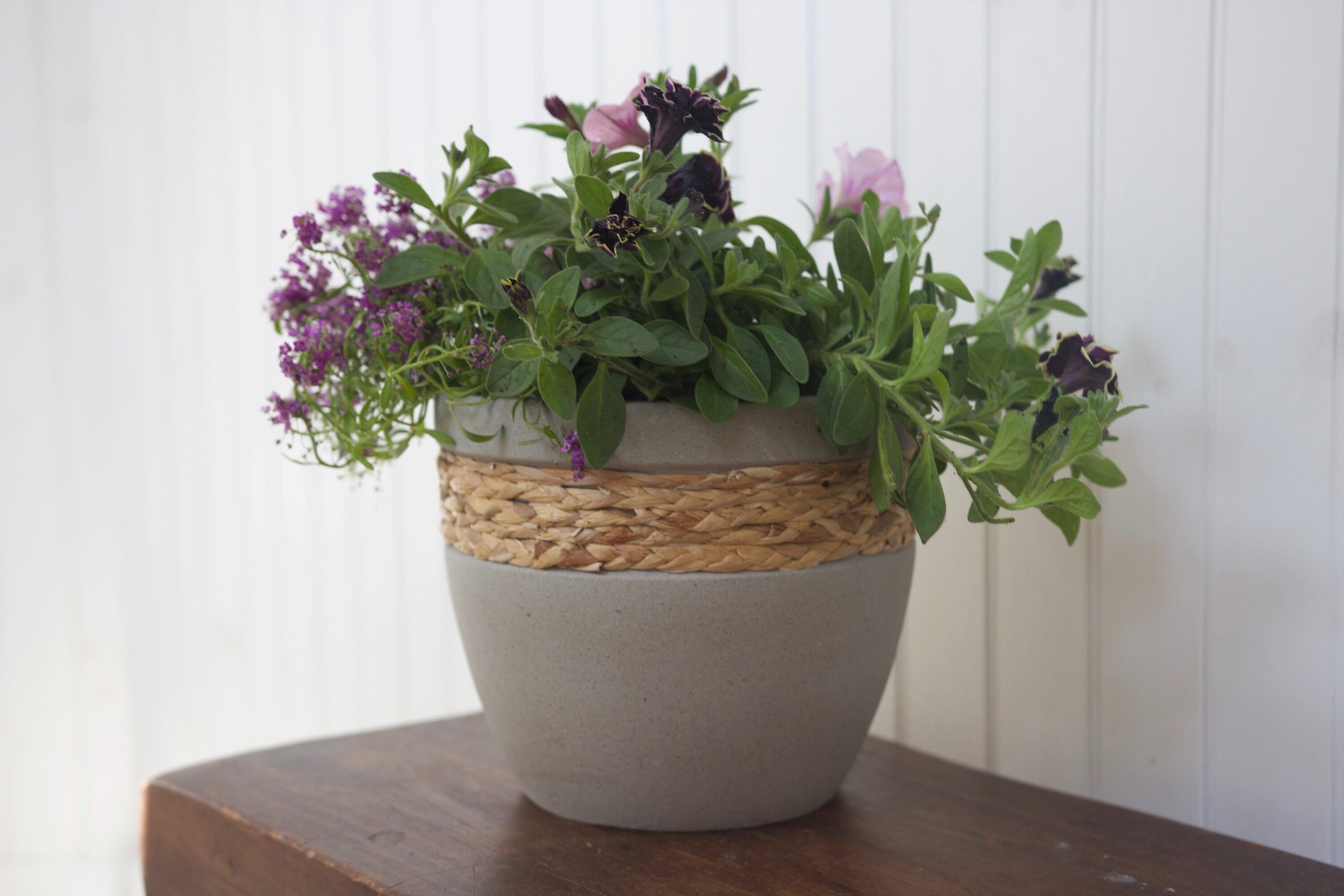 Origin 21 VT.14526 Planter-Window-Box - View #9