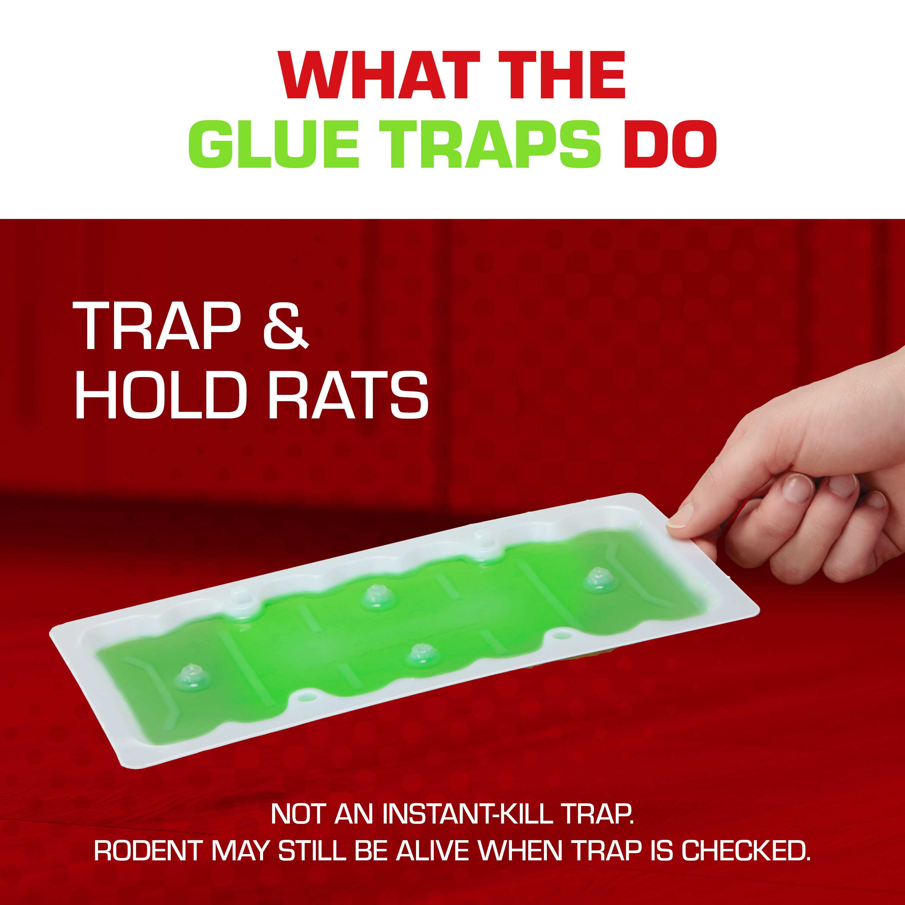 Sticky Mouse Trap Mouse Traps Indoor For Home Rat Traps That Work For  Trapping Snakes Rats Spiders Roaches Rodents Black