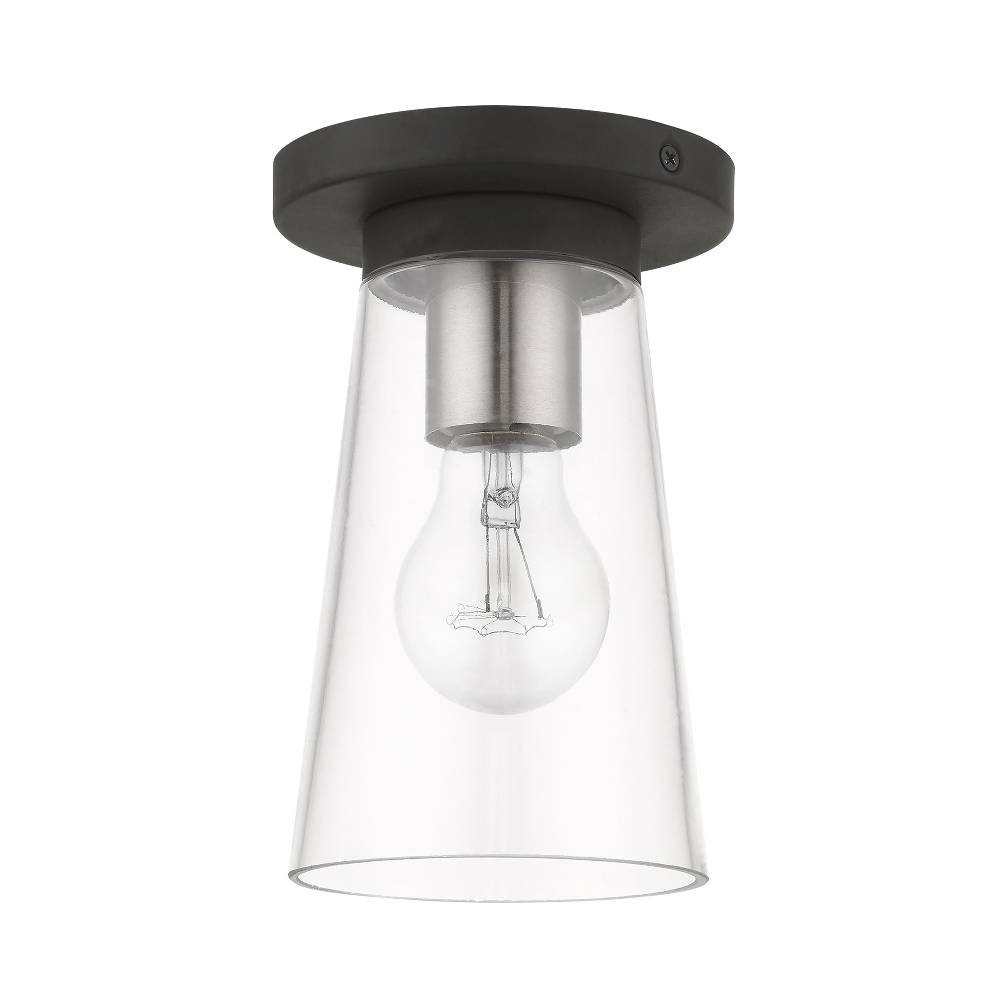 Black and Brushed Nickel Glass Indoor/Outdoor Flush Mount Light