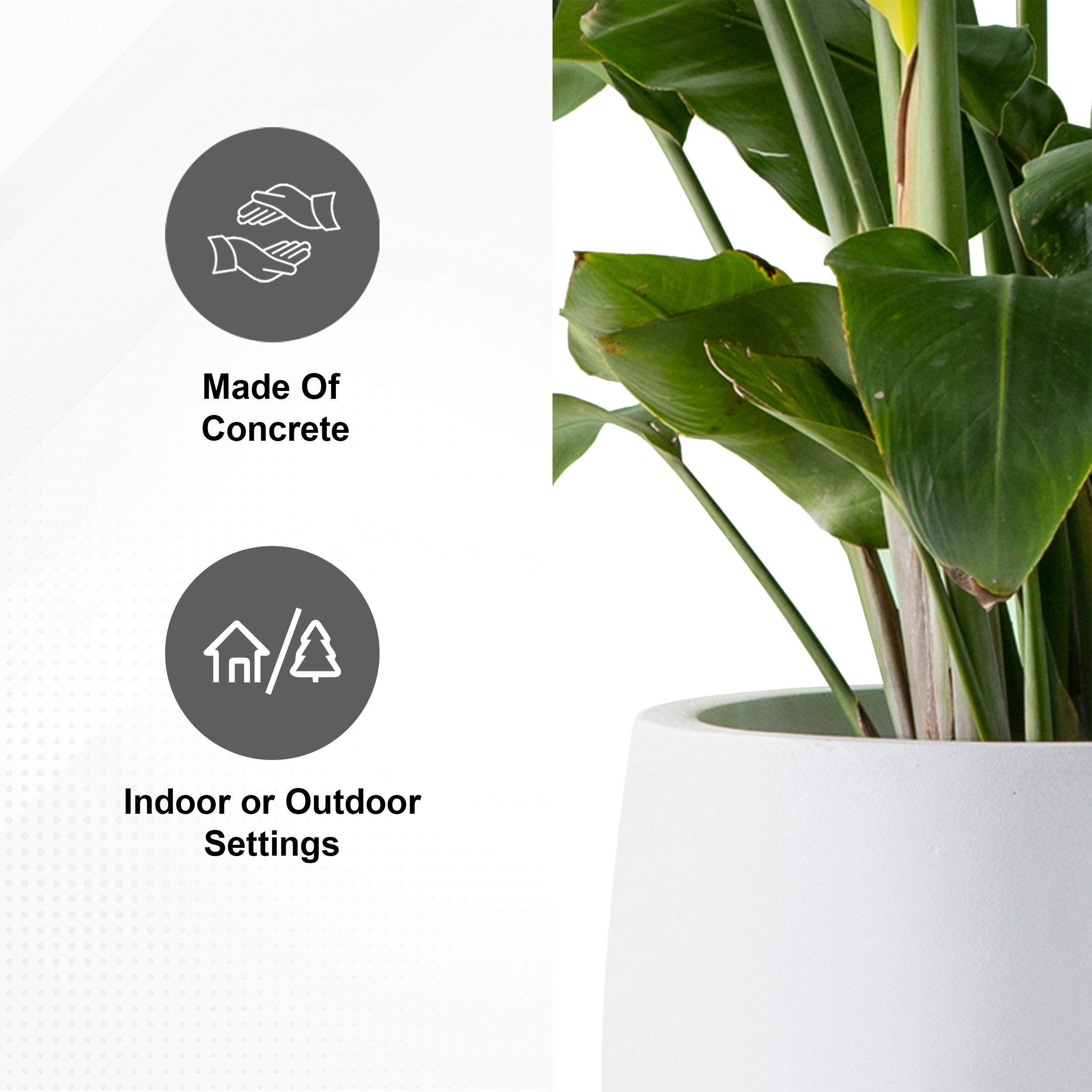 PLANTARA PA051B-8011 Planter-Window-Box - View #4