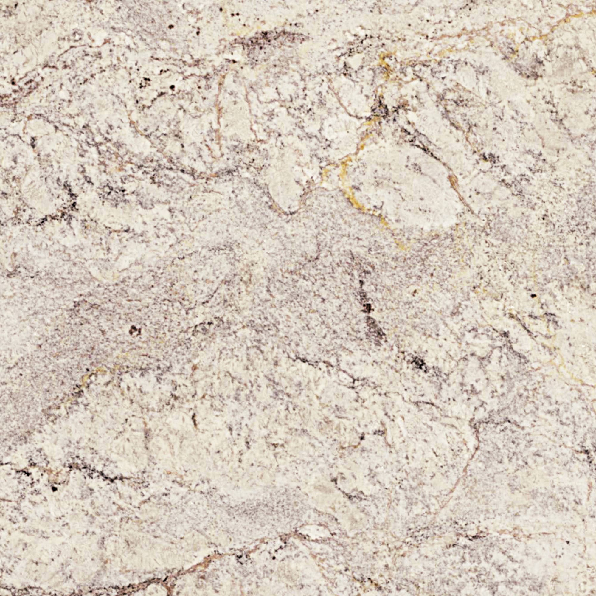 allen + roth White Springs Granite Off-white Kitchen Countertop SAMPLE ...