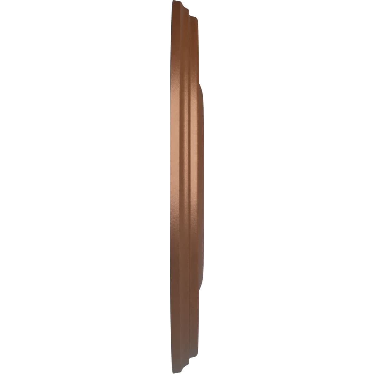 Ekena Millwork CM18BRPOS Ceiling-Medallions - View #3