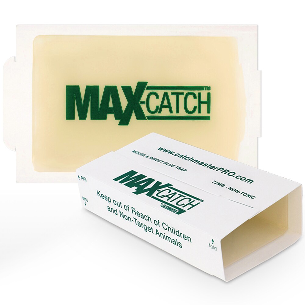 Tree Shield Insect Adhesive Barrier – Catchmaster