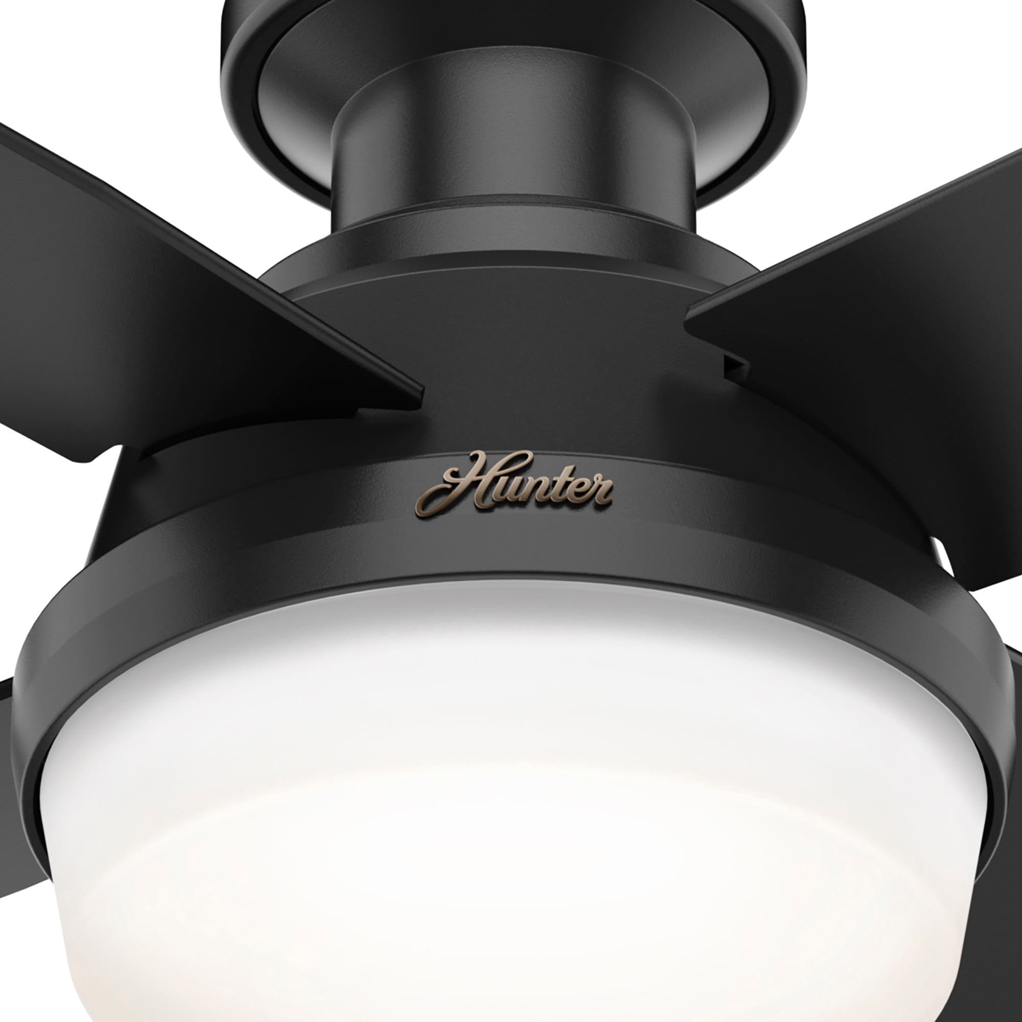 Hunter 50400 Ceiling-Fans - View #19