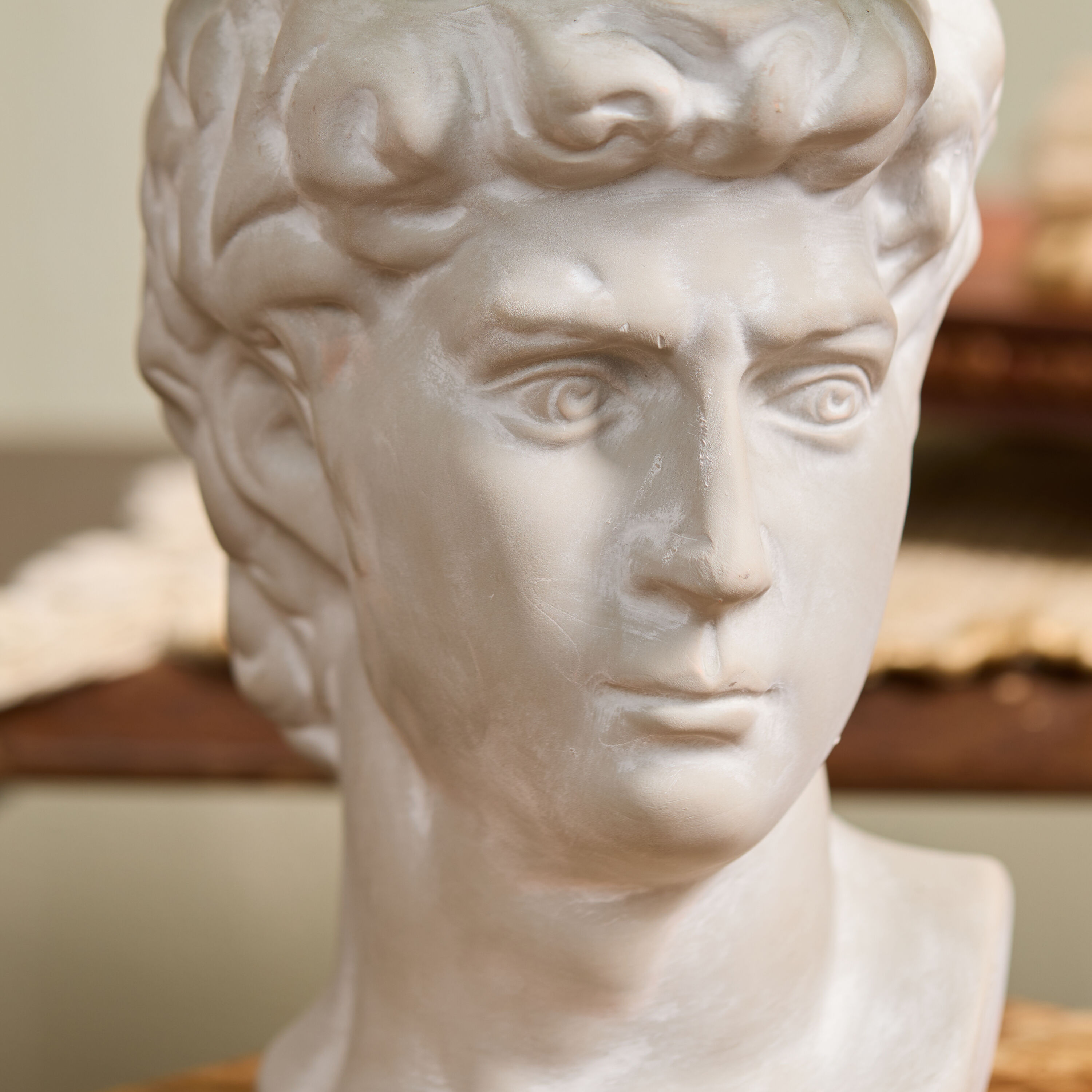 LiveTrends ASB07588 hseplants - View #3