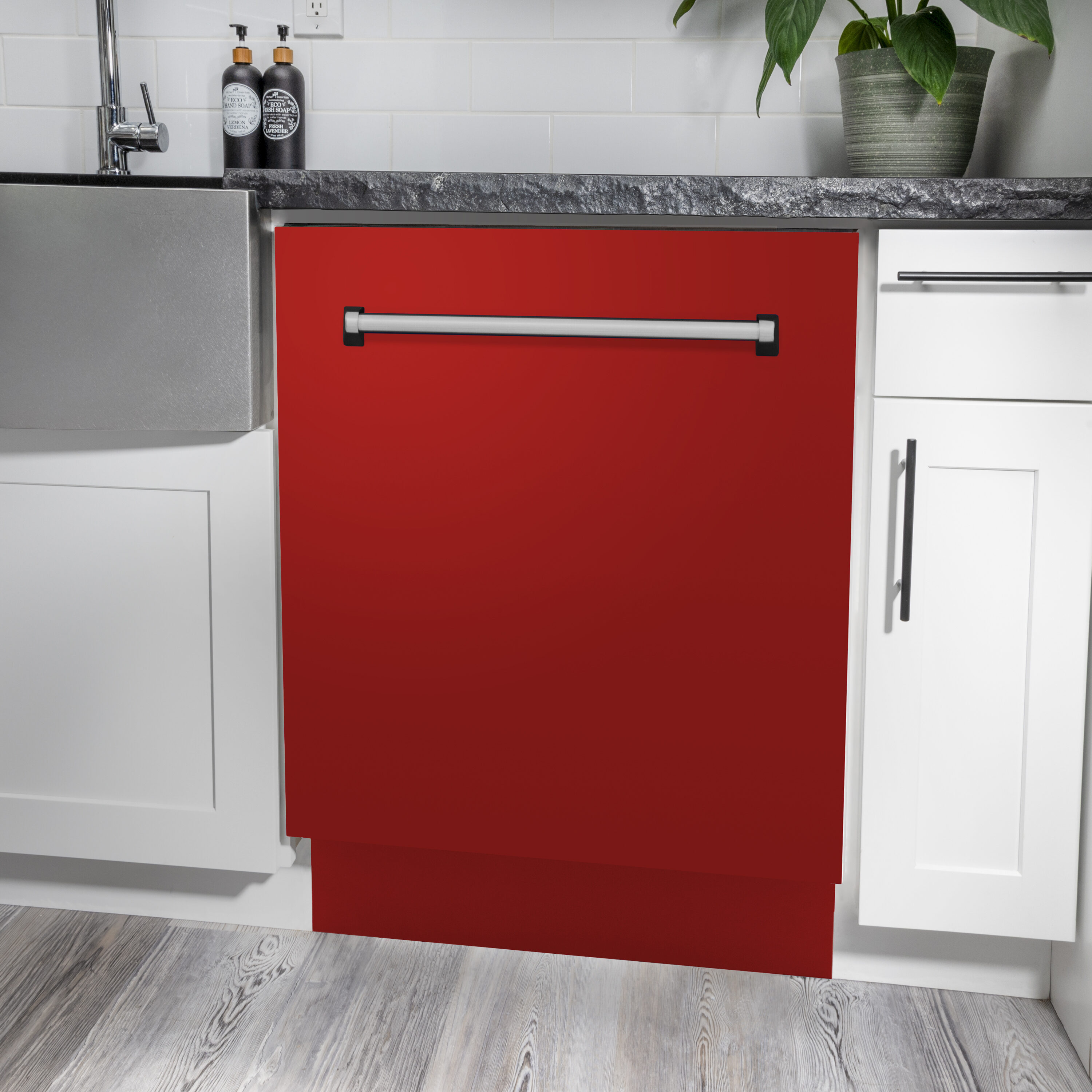 ZLINE KITCHEN & BATH DWV-RM-24 Builtin-Dish - View #8