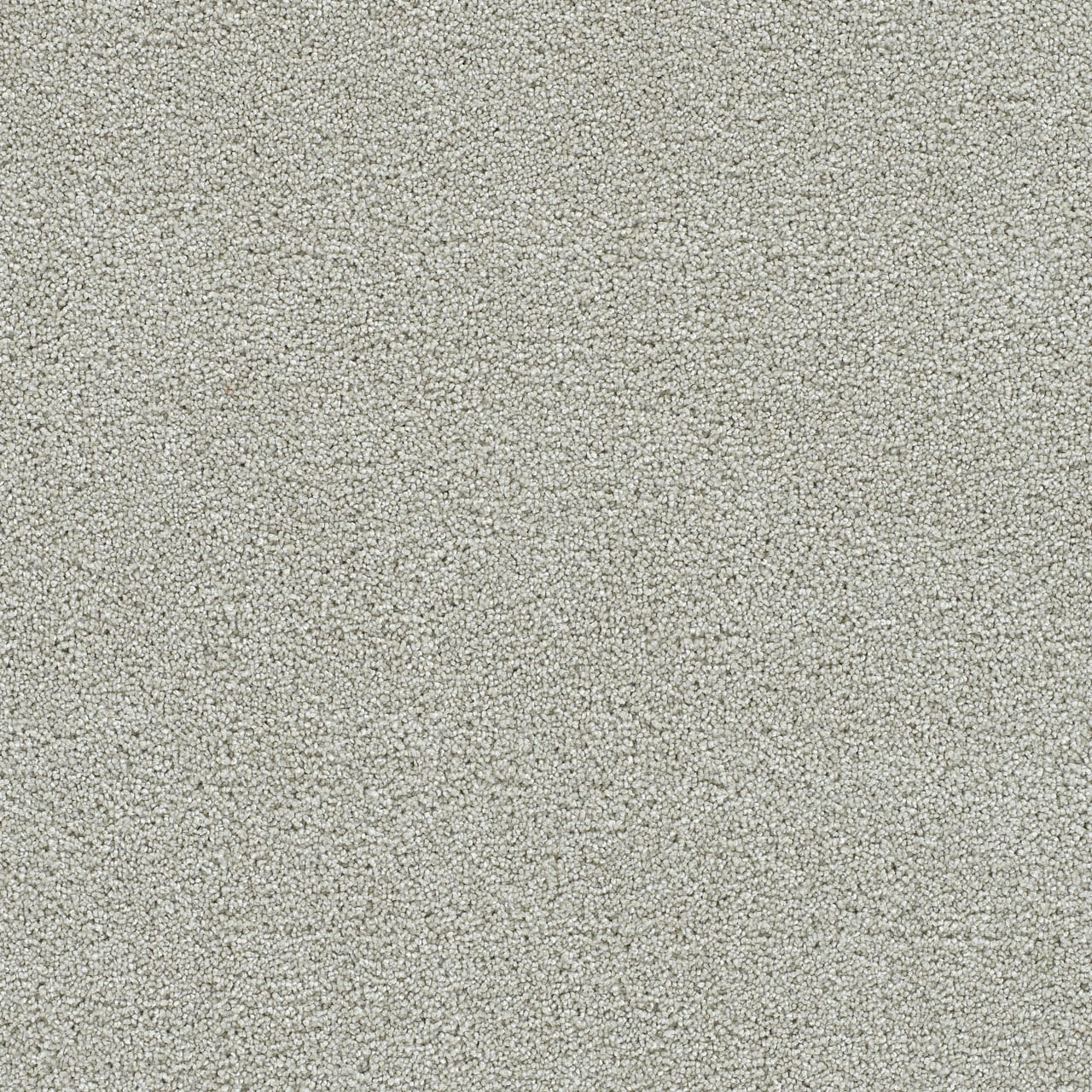 STAINMASTER L3009-710-0808 (Sample) Grandview Tan 70-oz sq yard Solution-dyed polyester Textured Indoor Carpet