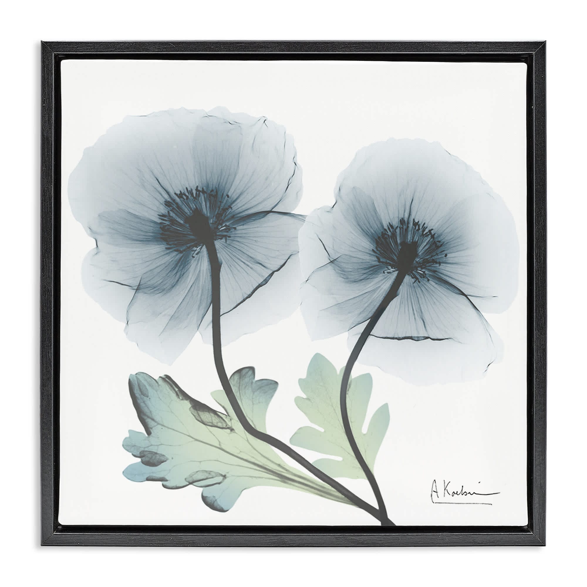 Stupell Industries BS-013-FFB-24X24 Sapphire Florals Duo Black Framed Floater Canvas Wall Art By Albert Koetsier 25 x 25