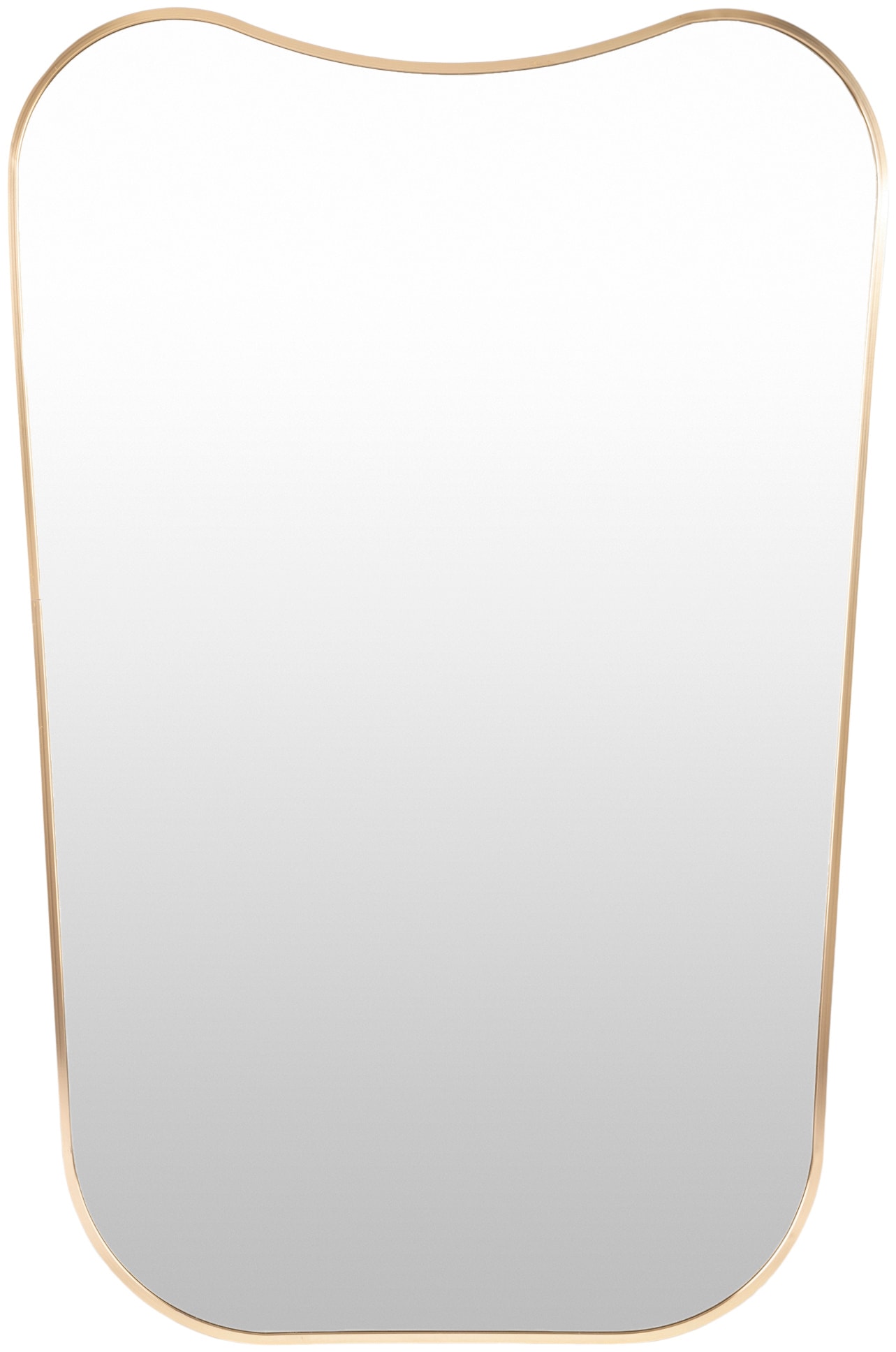 Surya OLO002-3624 Bellona 24-in W x 36.0-in H Arch Gold Framed Wall Mirror