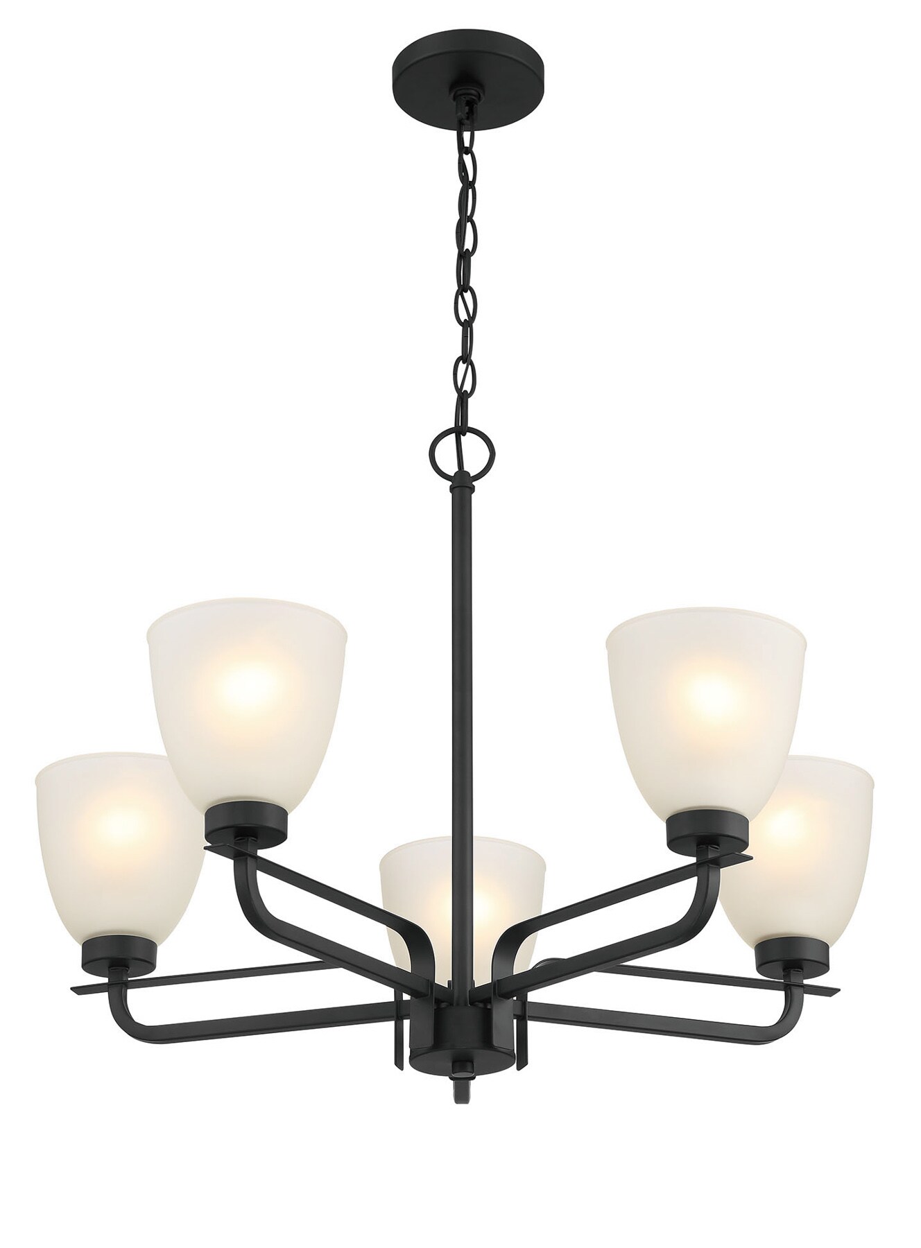 Mini Coal Black 5-Light Chandelier with Etched Glass Shade