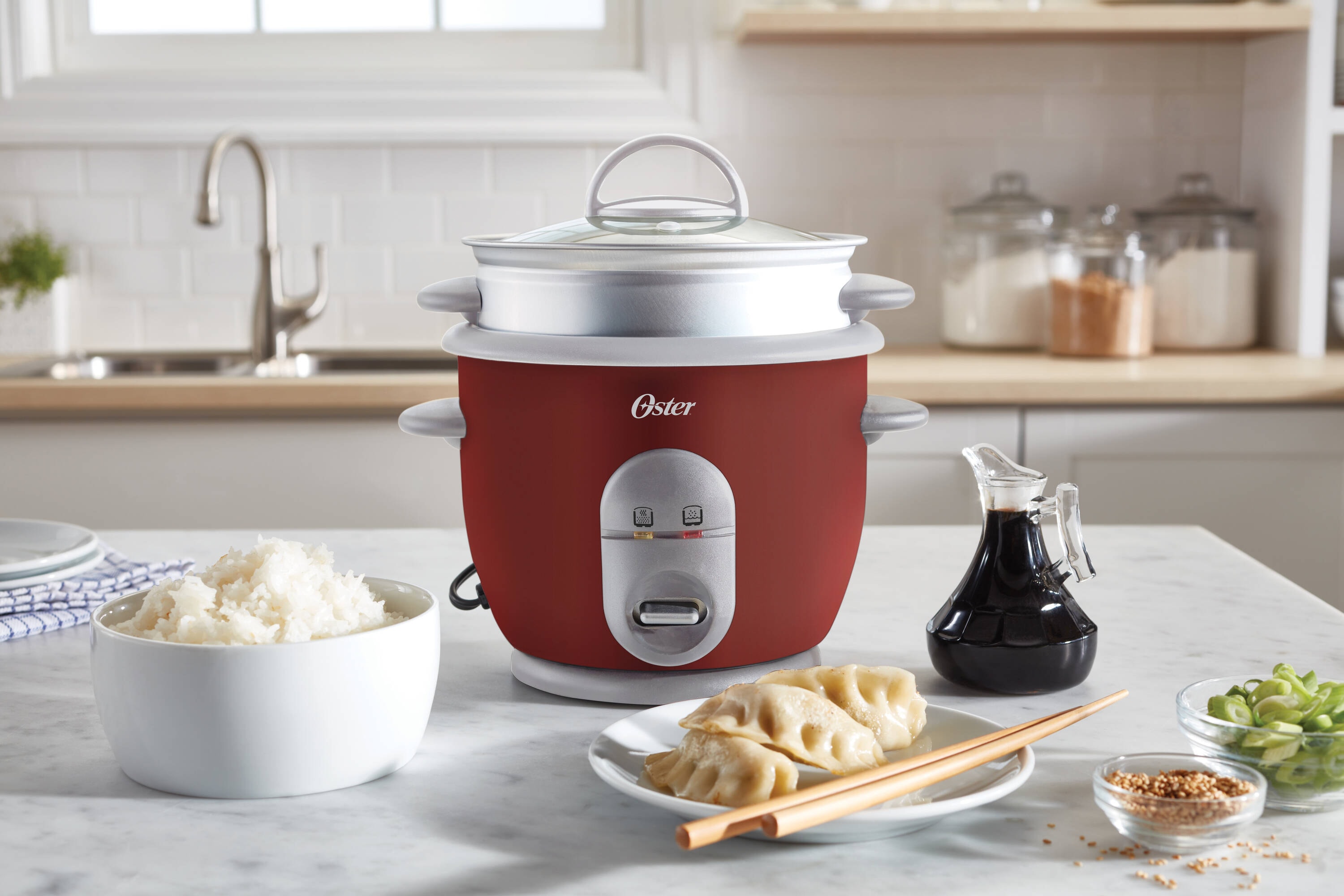 Salton Black Rice Cooker and Steamer with Glass Lid - Makes up to 6 Cups of  Fluffy Rice and Quinoa in the Rice Cookers department at
