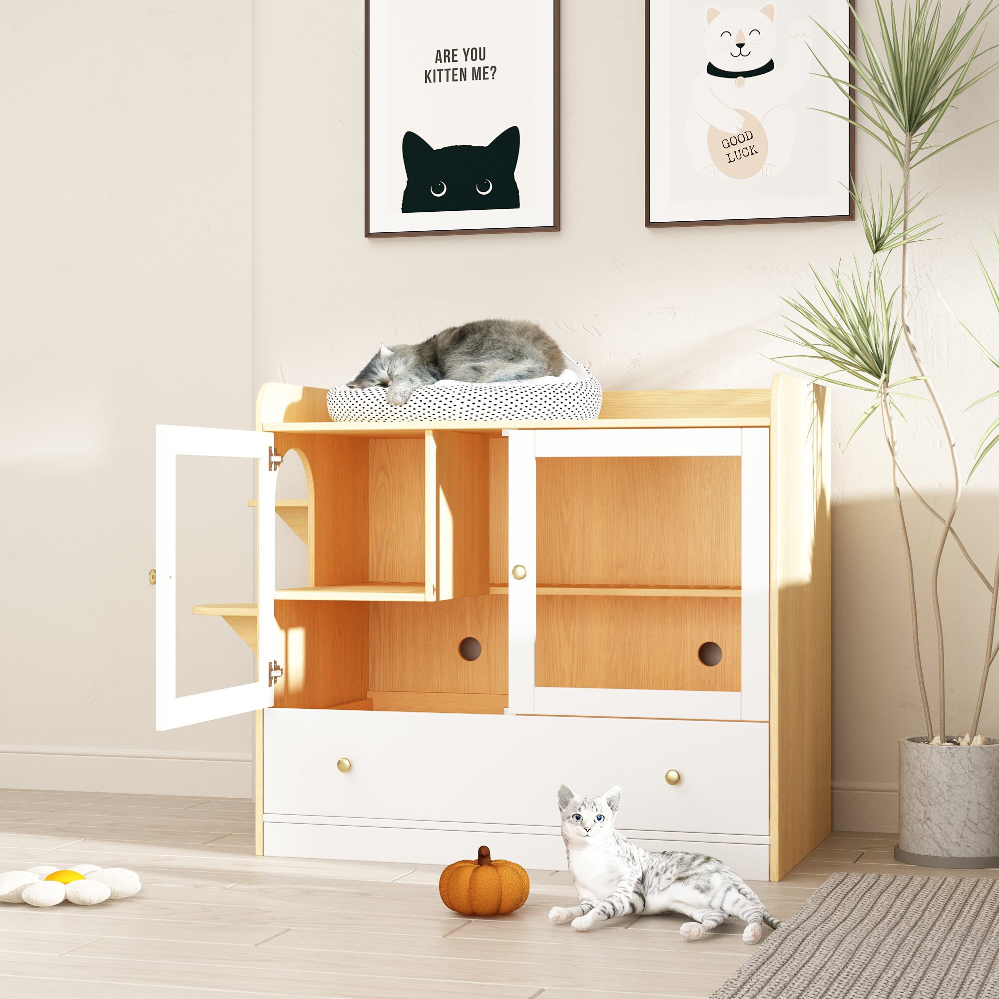 MIDHAM KF180099-03 Dog-Houses - View #3