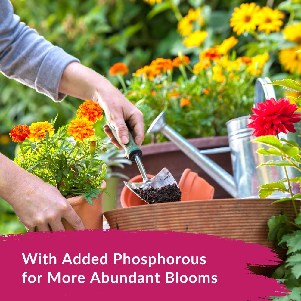 Kellogg 3036 Plant-Food - View #6