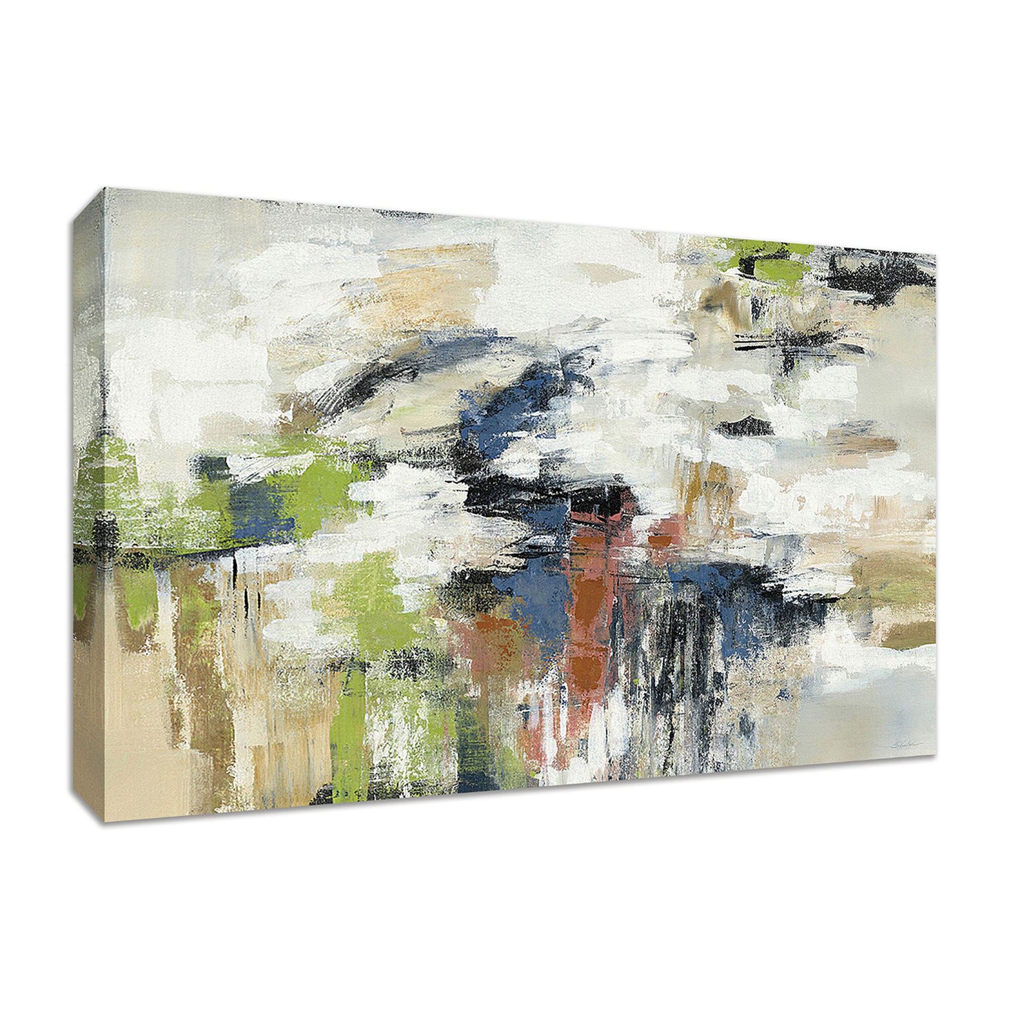 Tangletown Fine Art 14246-4330C Highline View Silvia Vassileva 30-in H x 45-in W Abstract Print on Canvas