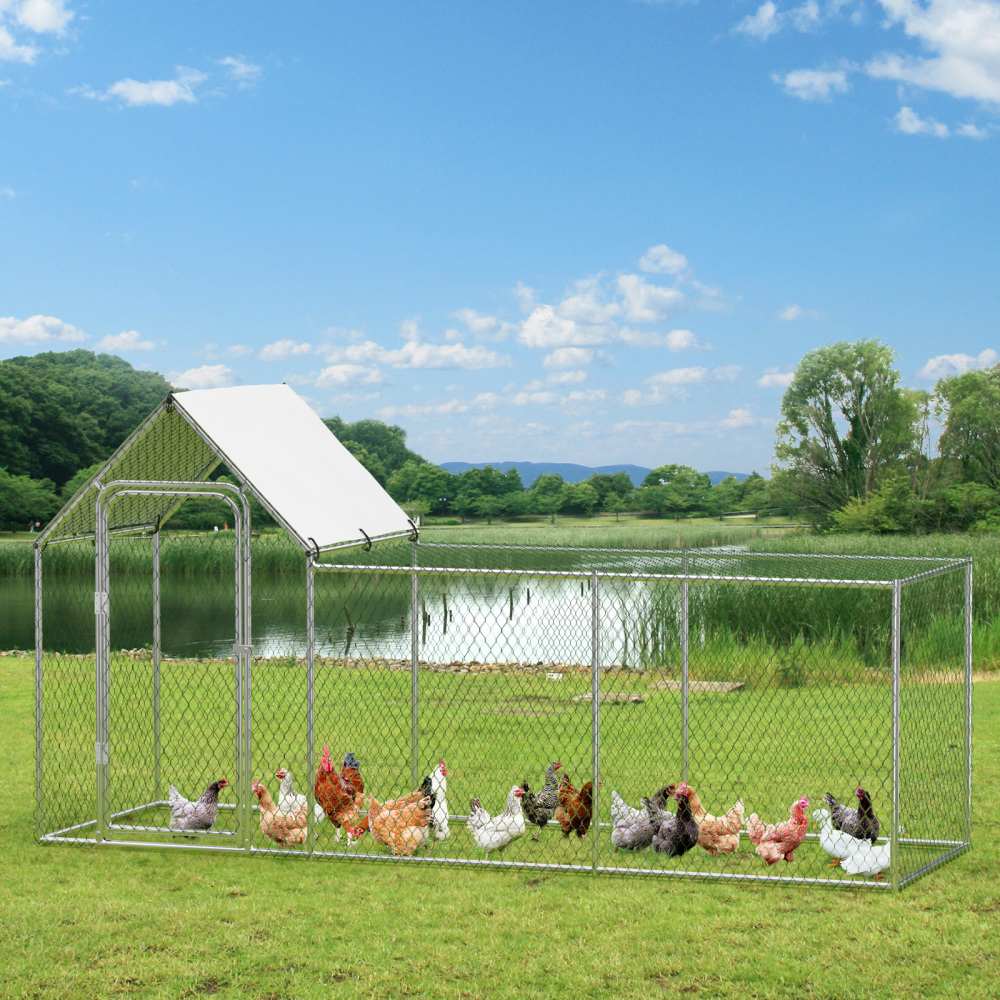 Qeetex WLS-PHO-159W8UKA Chicken-Coops-Rabbit-Hutches - View #7