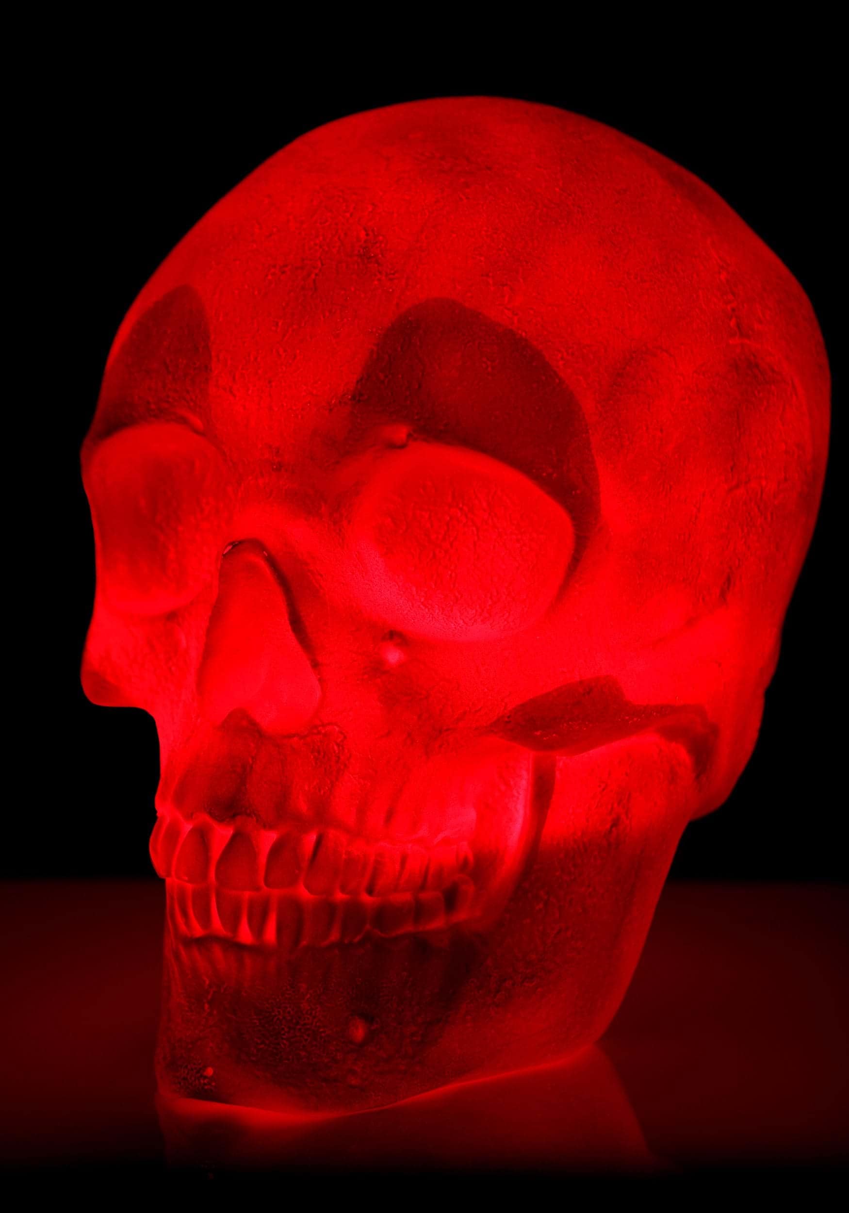 HalloweenCostumes.com FUN Costumes Oversized 18-Inch Skull Lantern ...