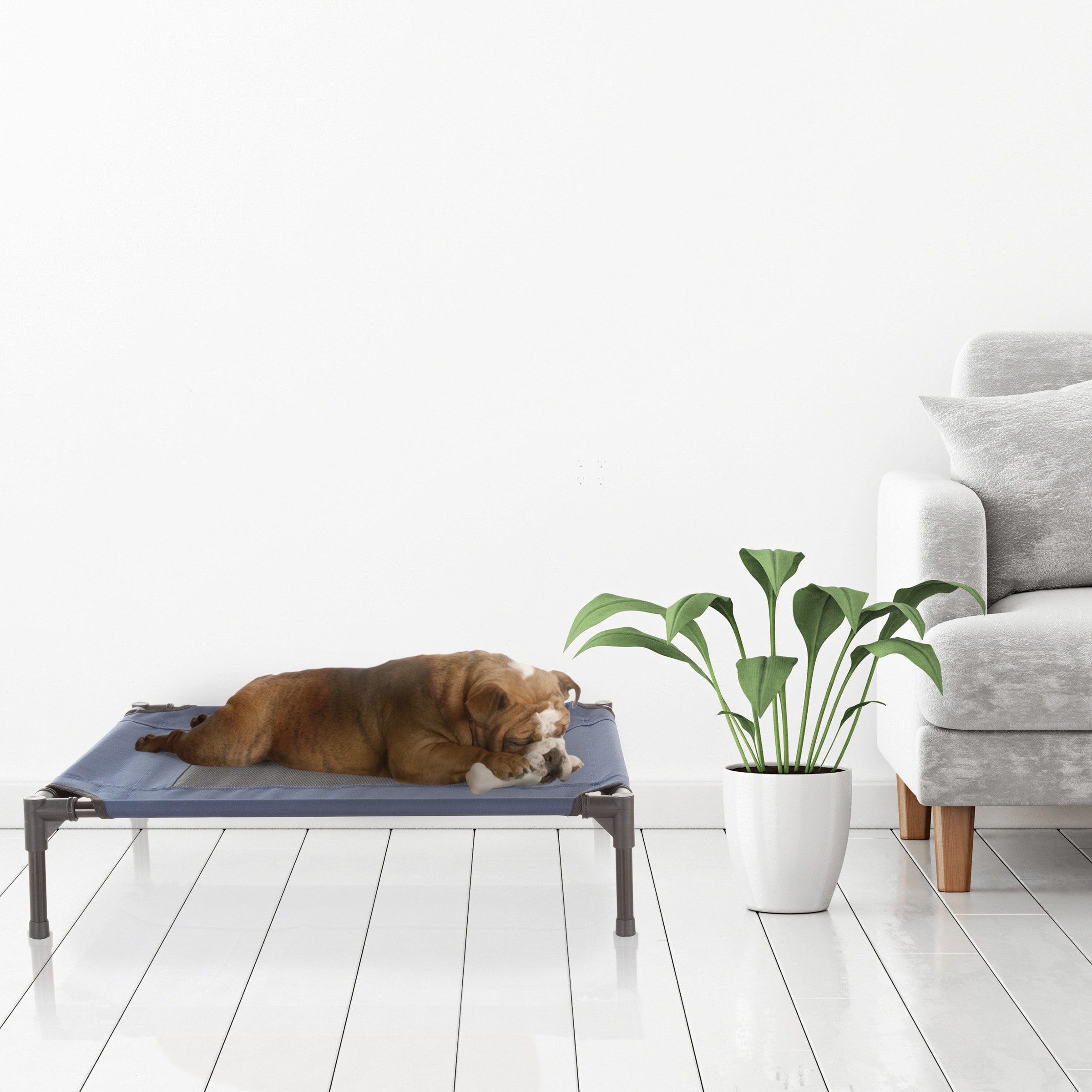 Small Navy Elevated Outdoor Pet Bed with Steel Frame