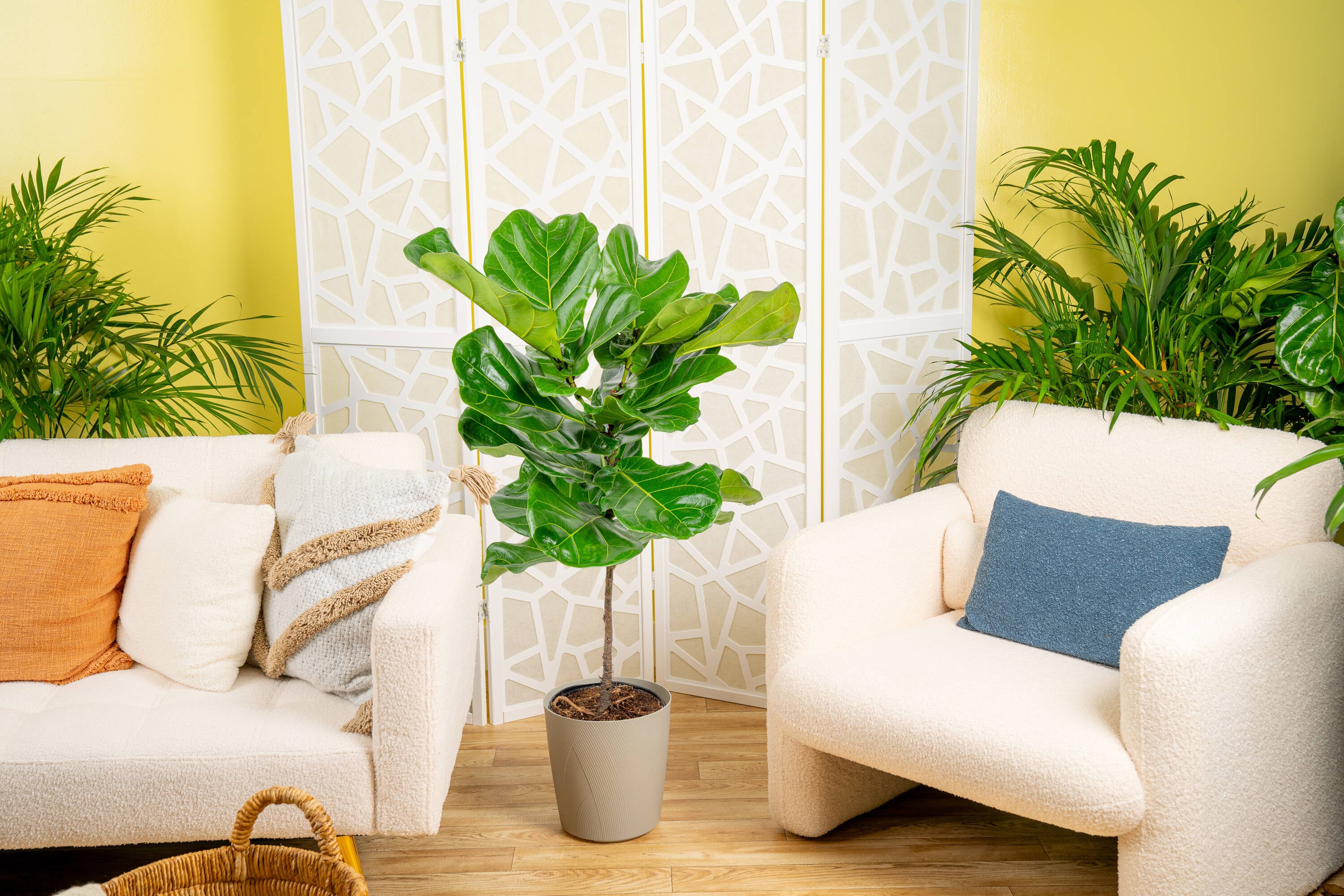 Lowe's 6011333 hseplants - View #4