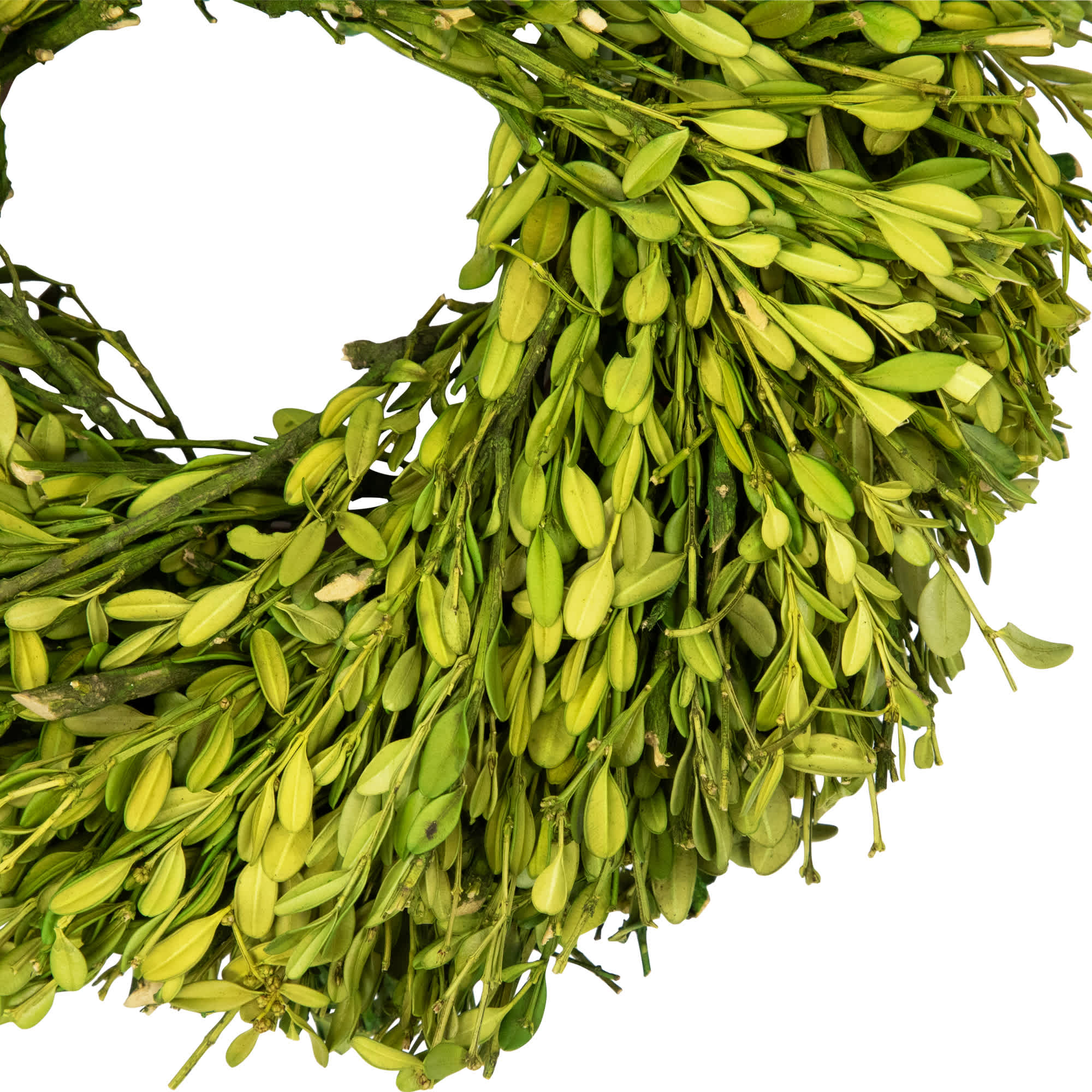 Northlight NORTHLIGHT SH91598 Artificial-Christmas-Wreaths - View #4