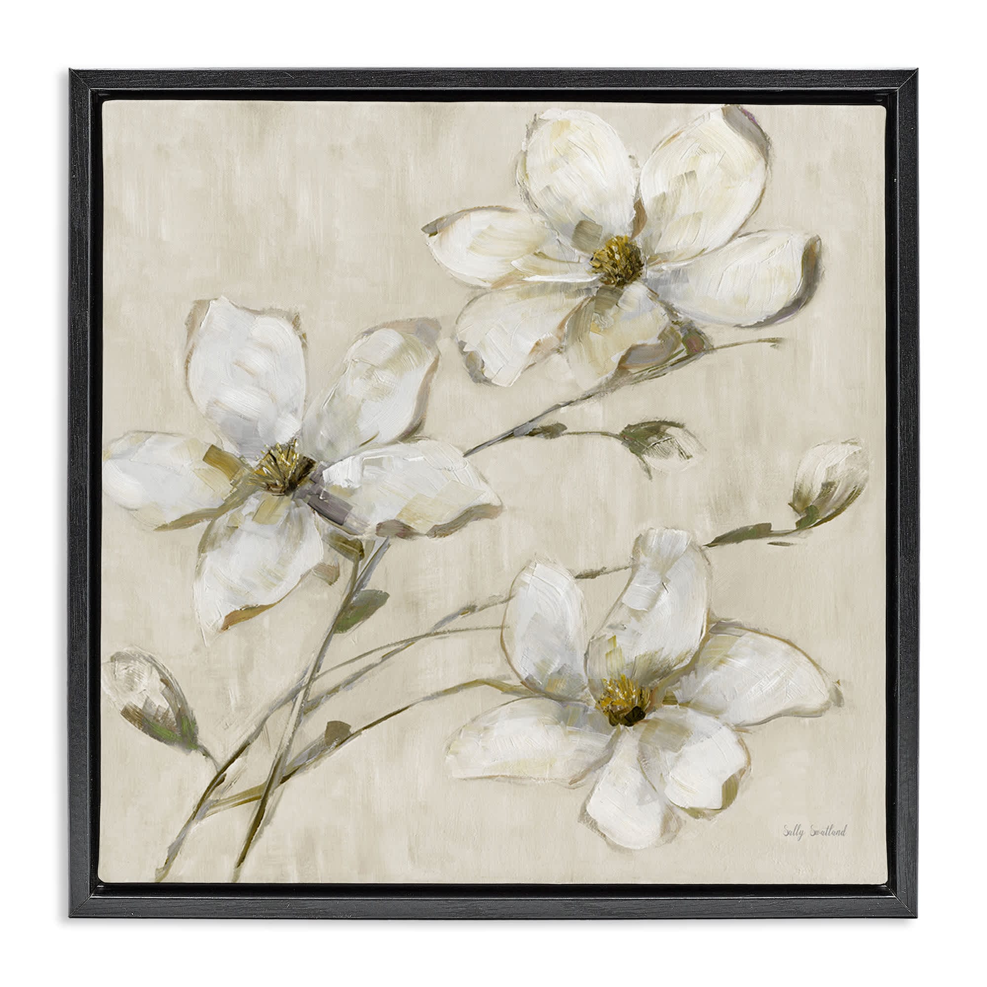 Stupell Industries -  Neutral Tone Dogwood Flowers Black Framed Floater Canvas Wall Art By Sally ...