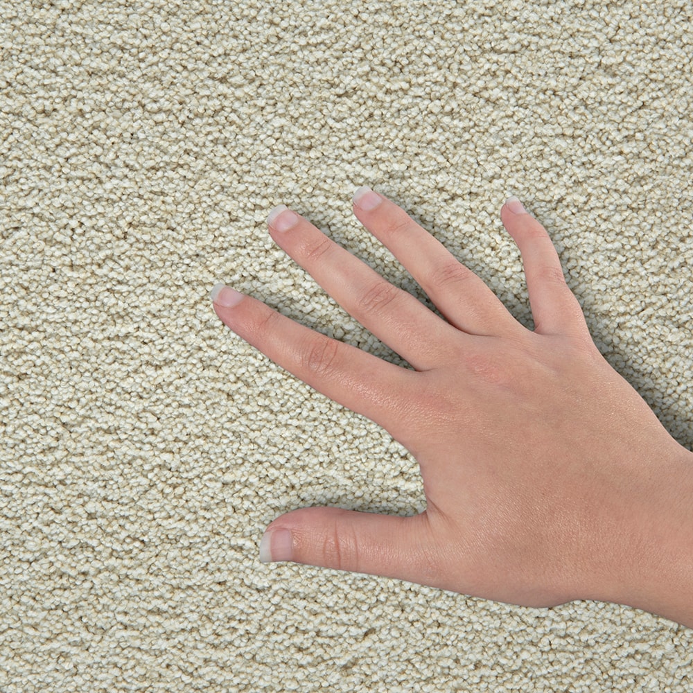 STAINMASTER SS079-12-L001 Carpet-Panel - View #4