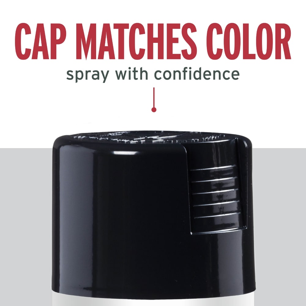 Rust-Oleum 254146 Spray-Paint - View #6