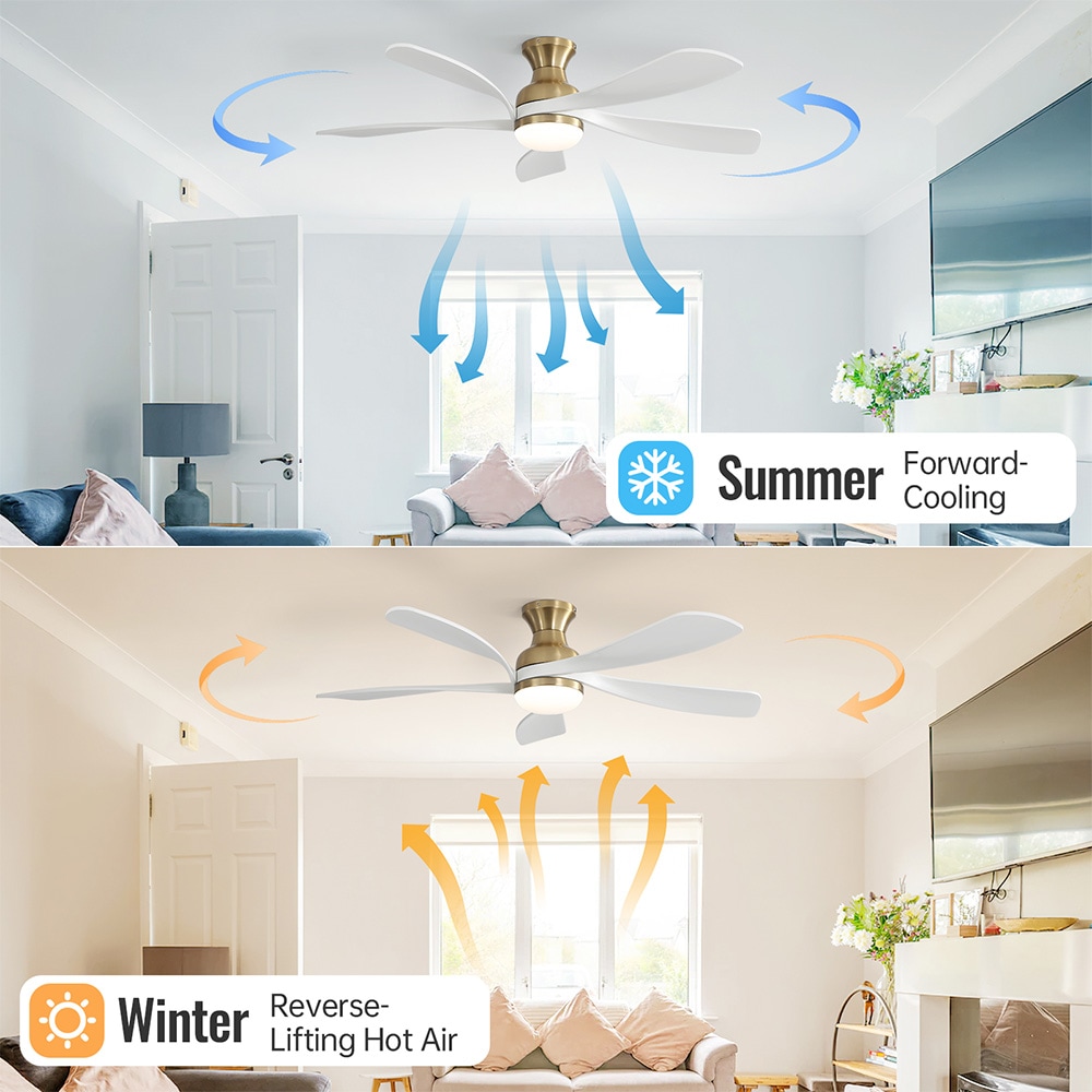 Sofucor LW-52K073SMTY-BG-WH Ceiling-Fans - View #8