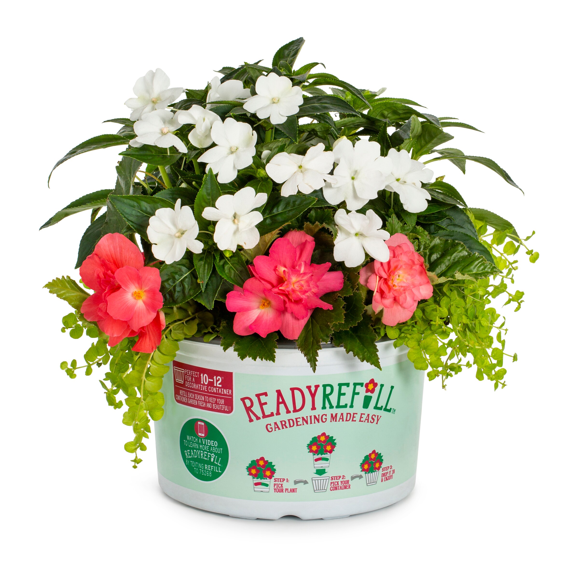 Ready Refill NURSERY Multicolor Mixed Annuals Pot