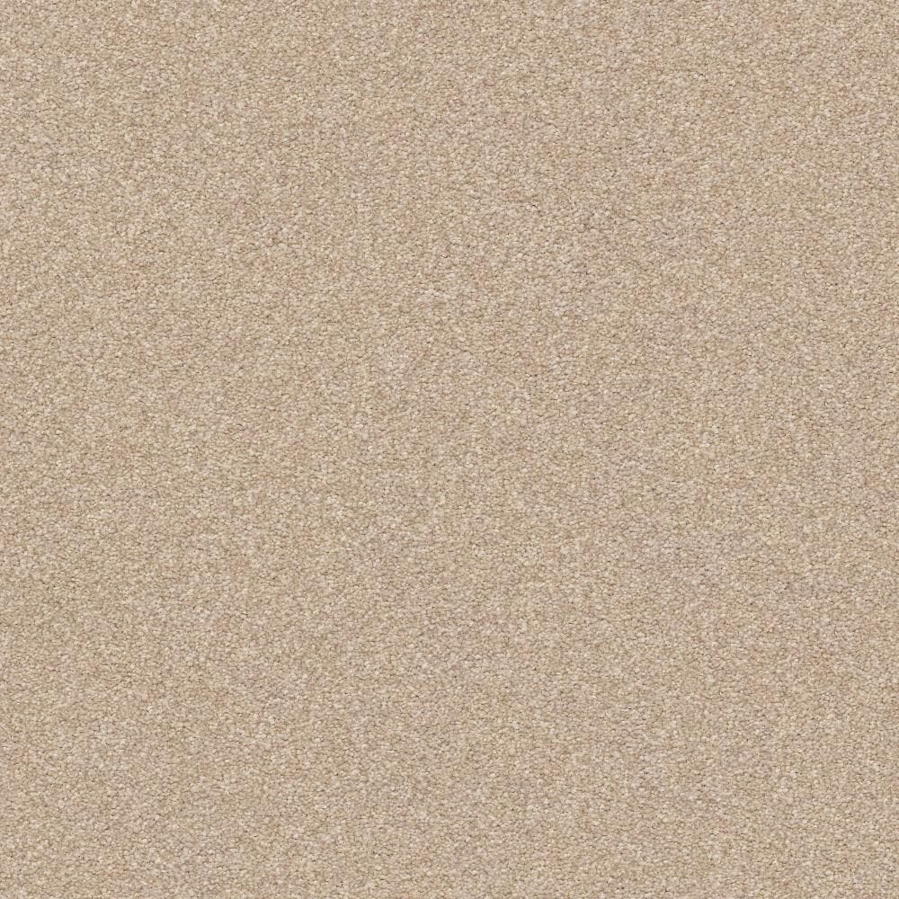 STAINMASTER C707200010 PetProtect Best In Show- Premium Plush Indoor Carpet