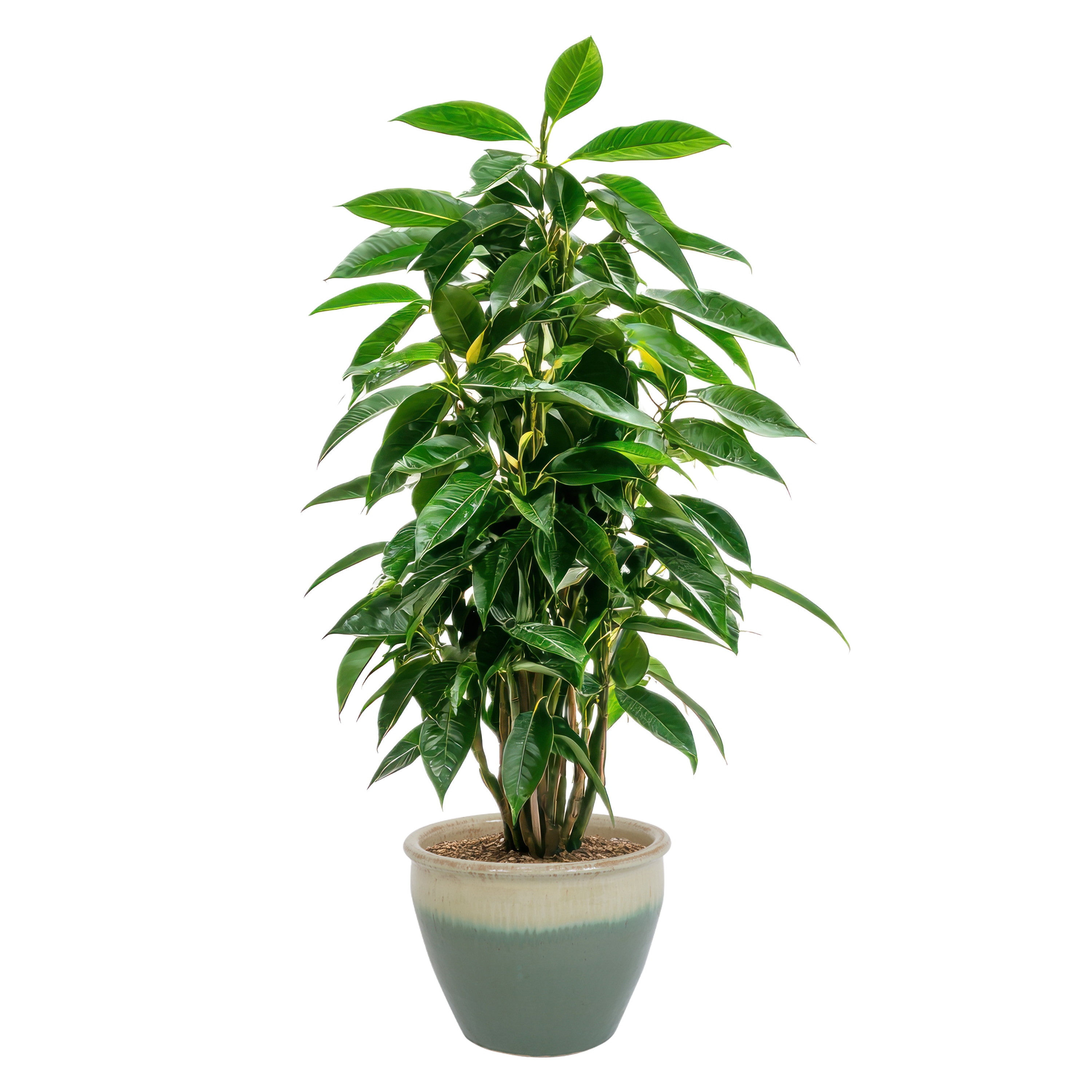Sunnydaze Decor AP-834 Planter-Window-Box - View #8