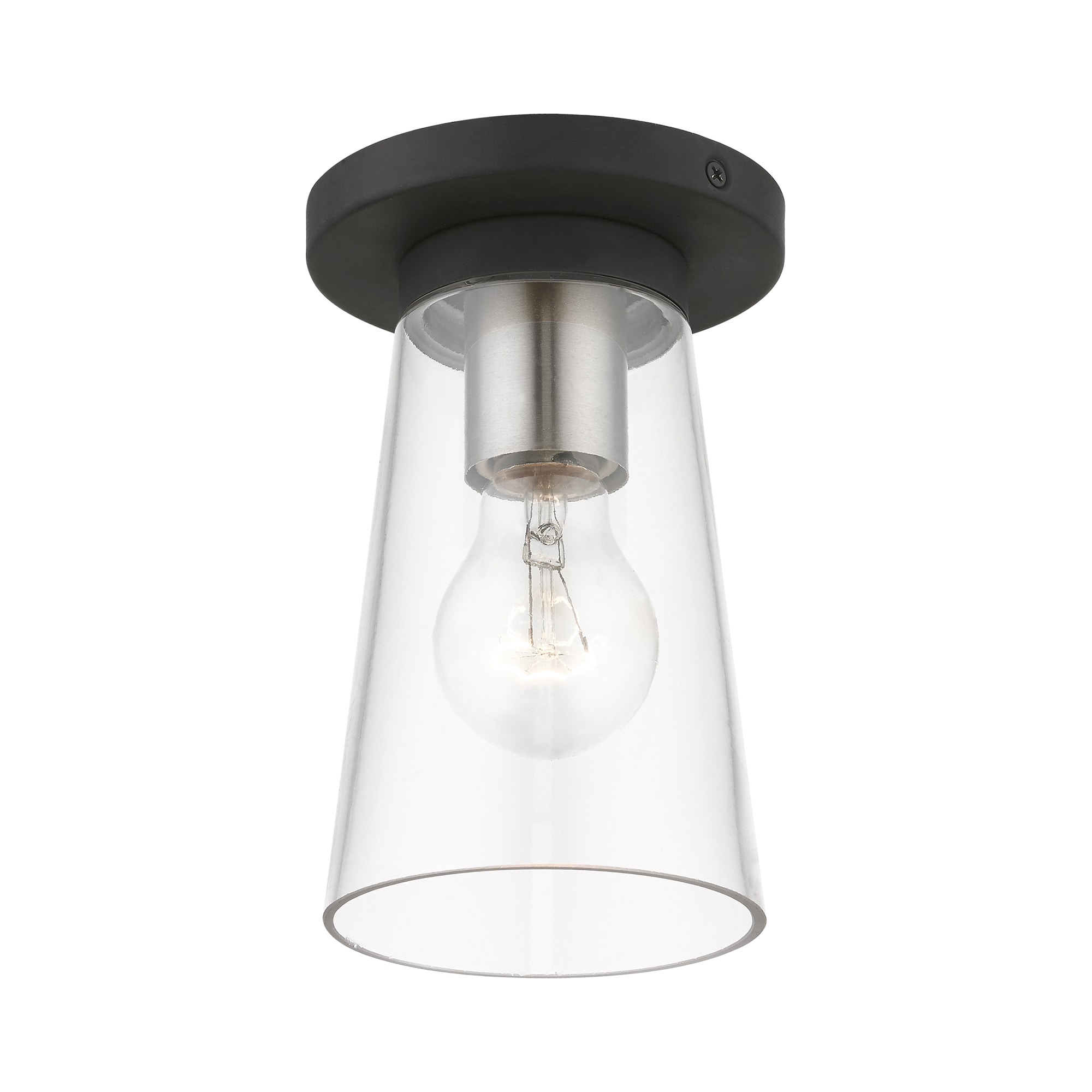 Black and Brushed Nickel Glass Indoor/Outdoor Flush Mount Light