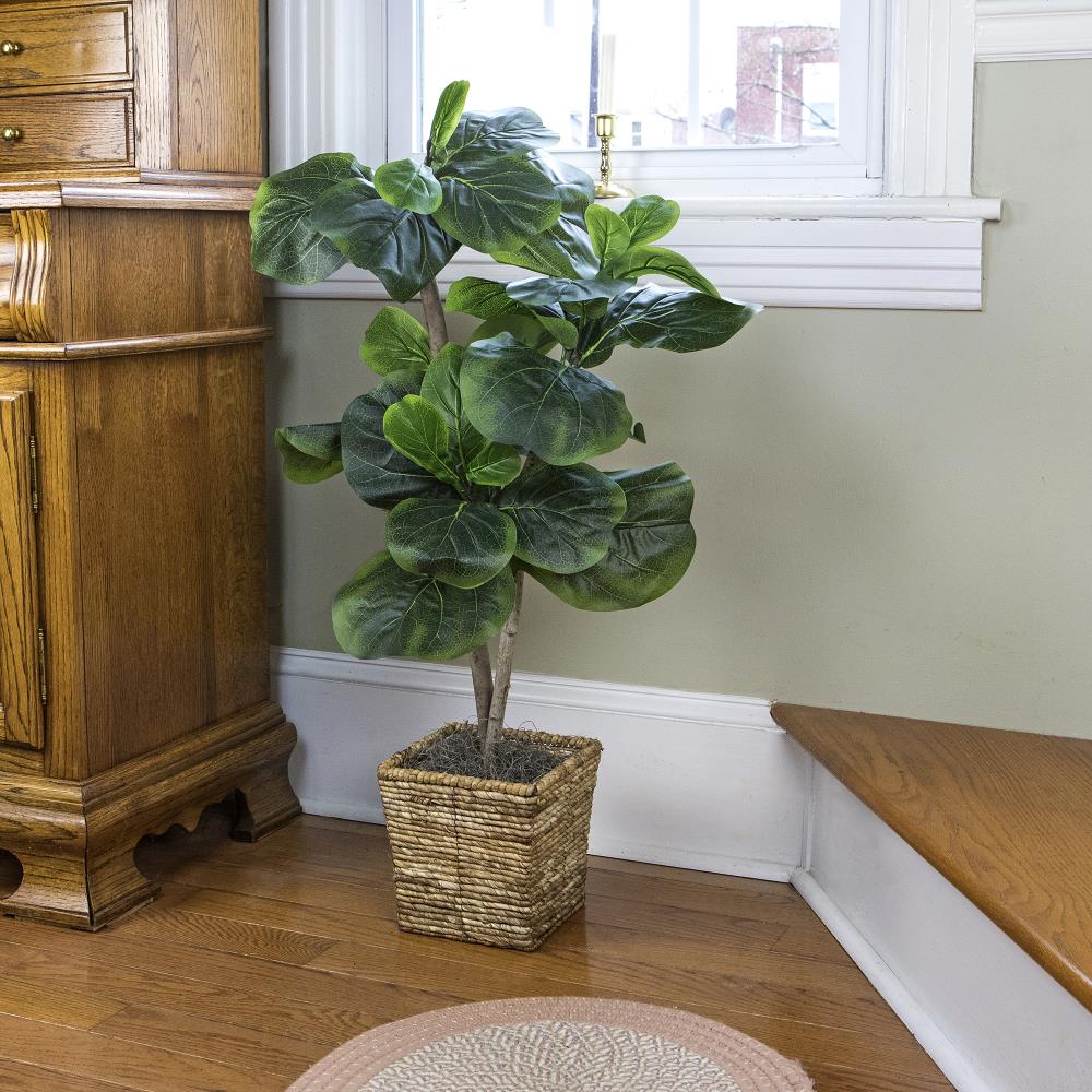 Eternal Green 39" Faux Fig Tree in Dark Wood Basket