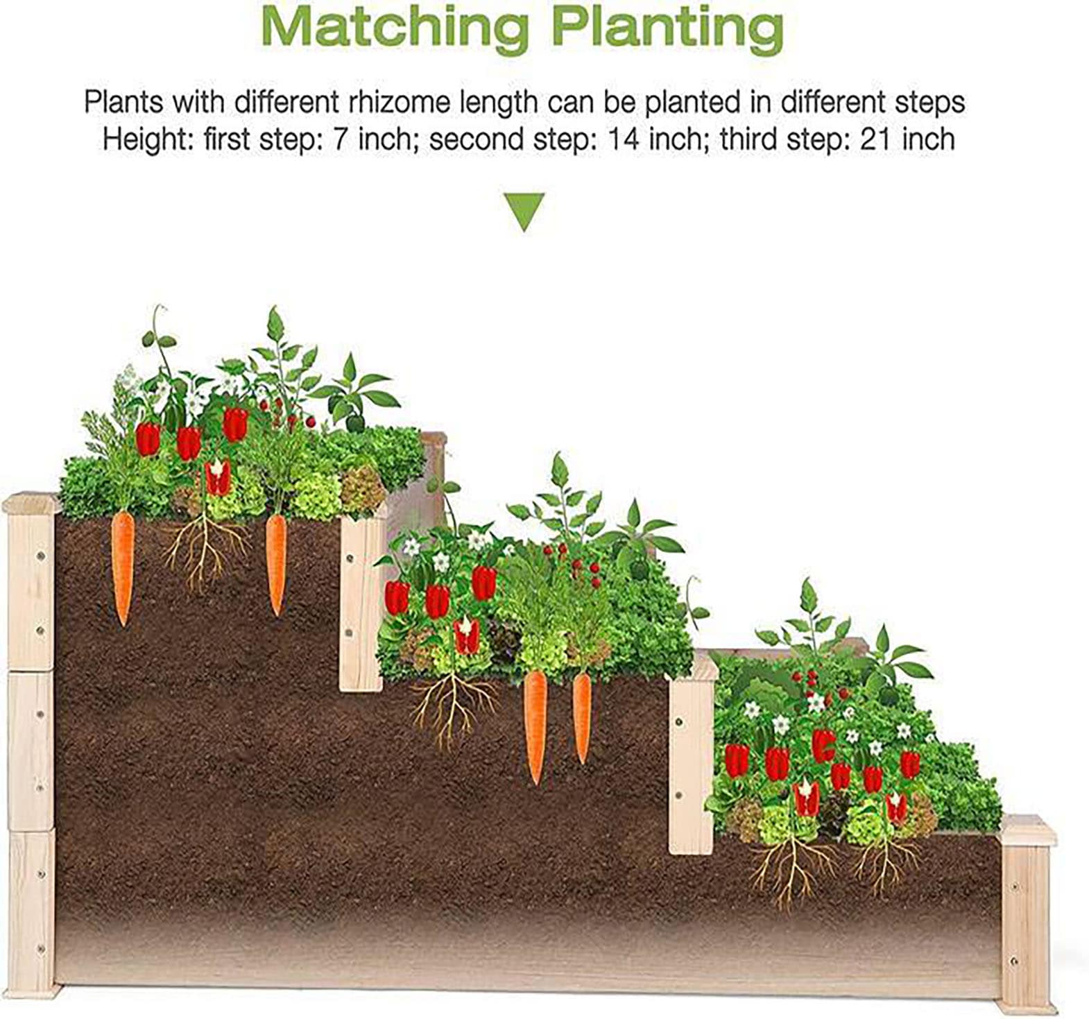 Damerin TSLJL017 Raised-Garden-Beds - View #5