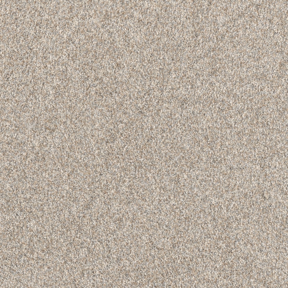 STAINMASTER L3019-4227-1200-AB Blended Horizon I Toast Tan 60-oz sq yard Solution-dyed polyester Textured Indoor Carpet