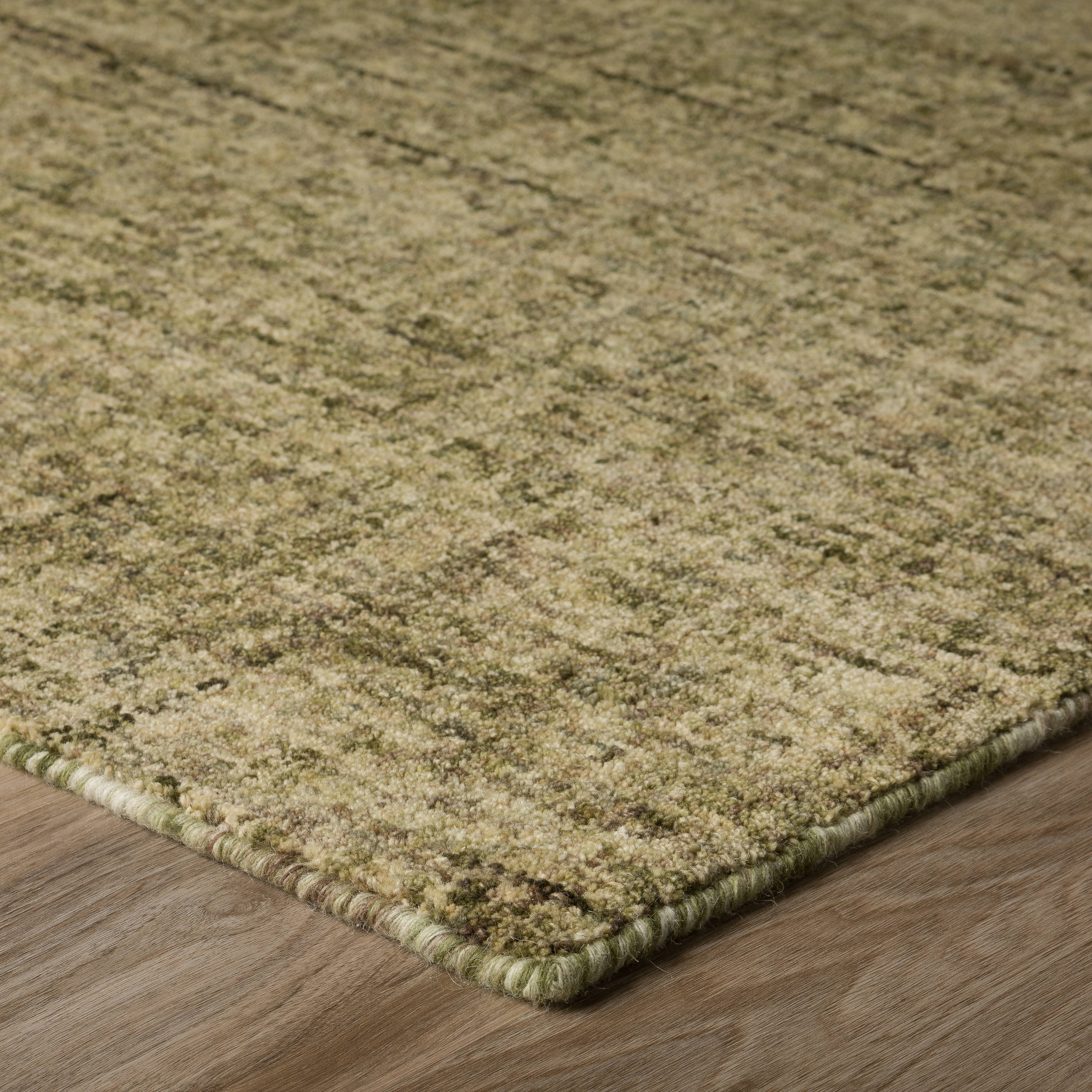 Addison Rugs AEA31GN5X8 rugs - View #4