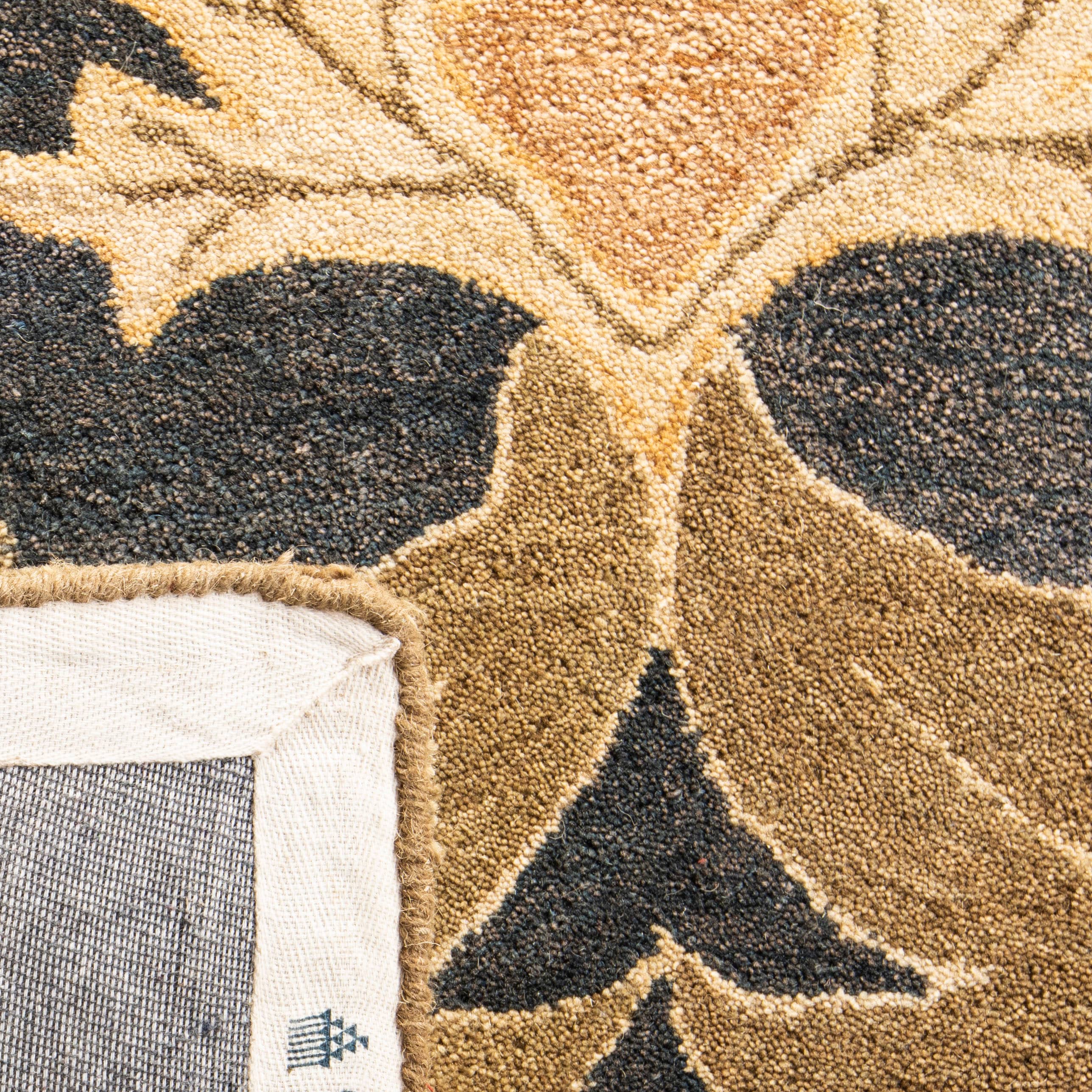 Safavieh AN541A-10 rugs - View #7