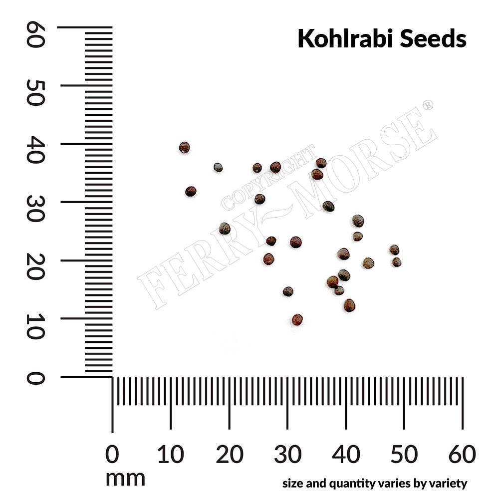 Ferry-Morse LC25.7372 Vegetable-Herb-Seeds - View #4