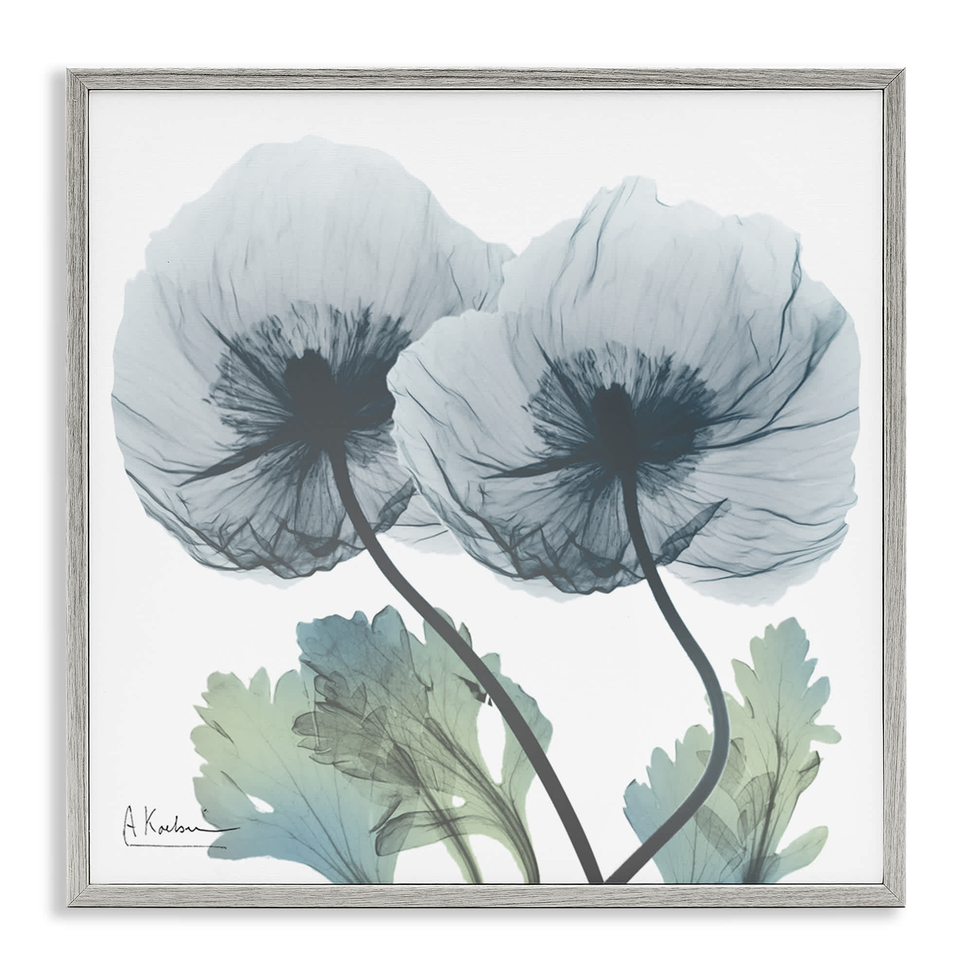 Stupell Industries BS-016-GFF-24X24 Double Modern Flower Blossoms Gray Framed Giclee Art By Albert Koetsier 24 x 24