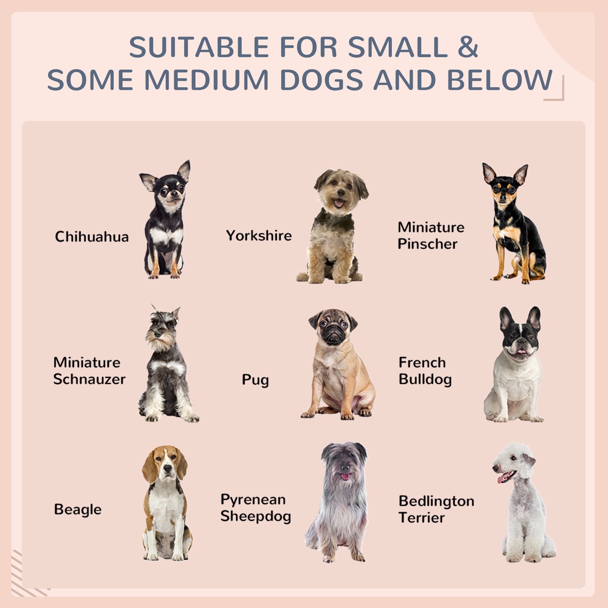 PawHut D02-029BU Pet-Beds - View #4