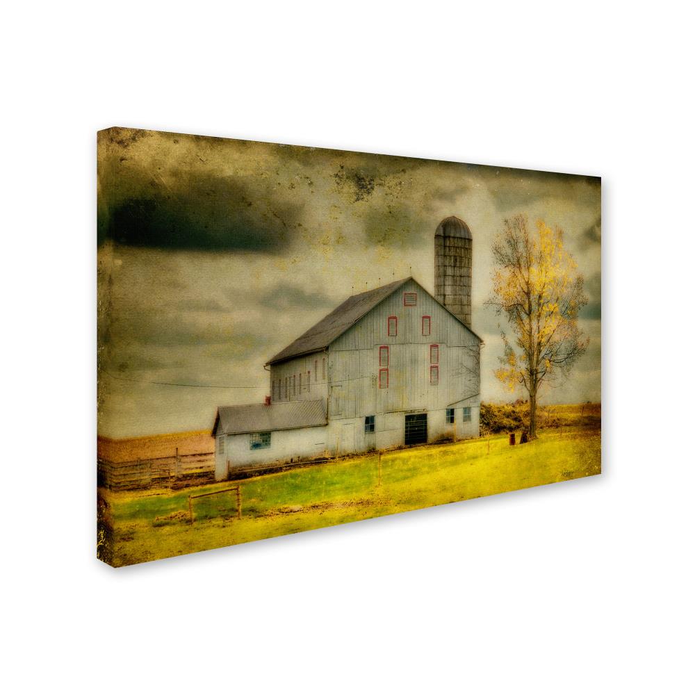 Trademark Fine Art Framed 22-in H x 32-in W Landscape Print on Canvas ...