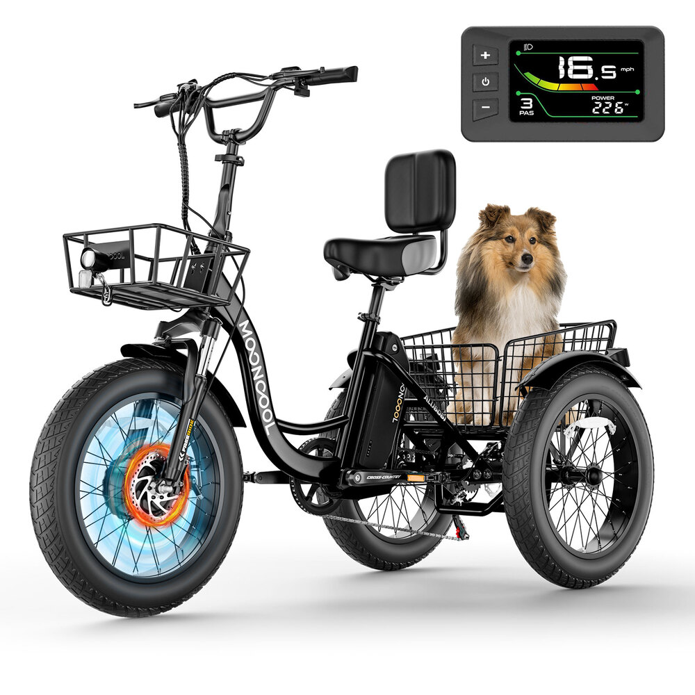 Esazn ZT-E20-BK-TLYU 20-in Adult unisex E-bike