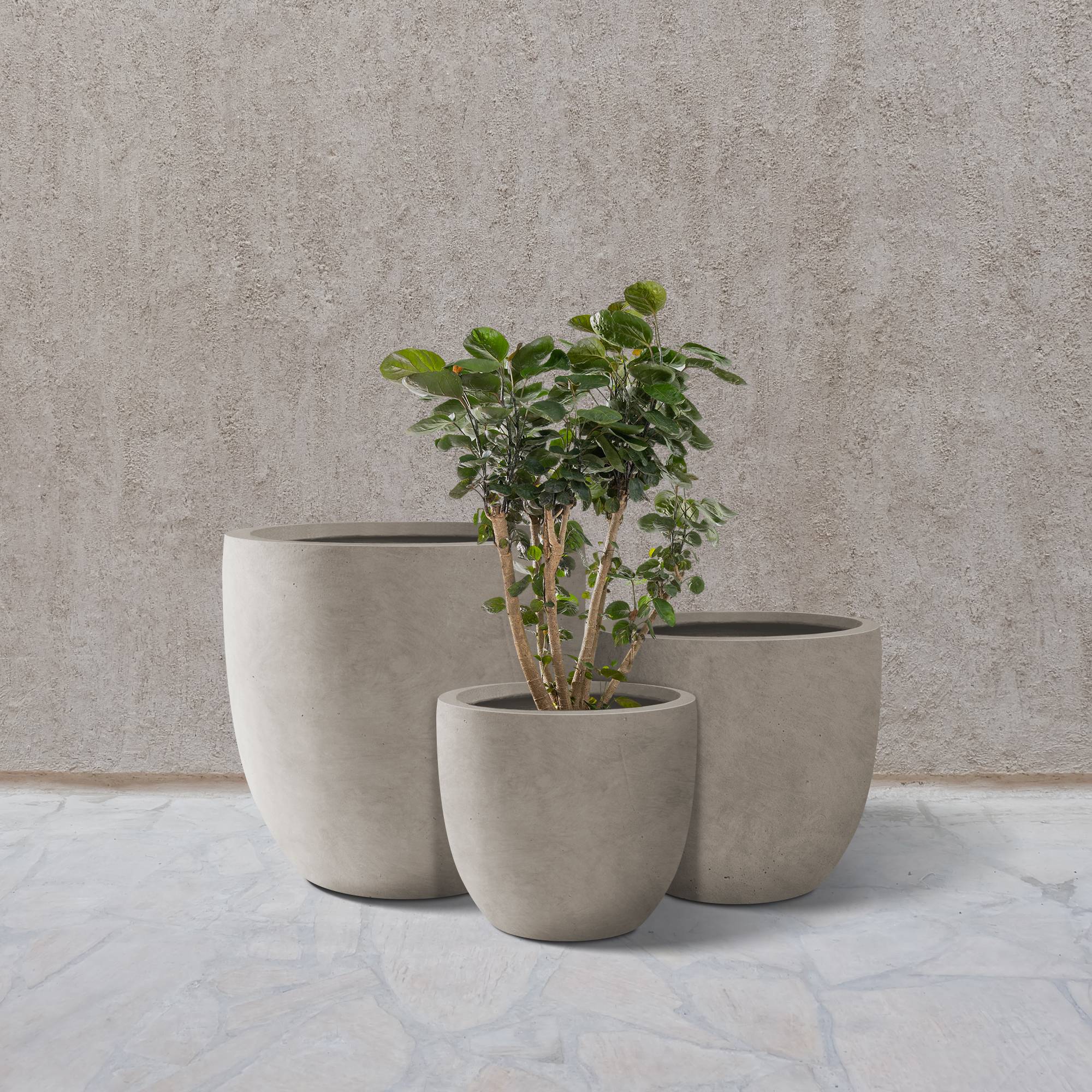 KANTE RC0152BCD-C80021-2 Planter-Window-Box - View #11