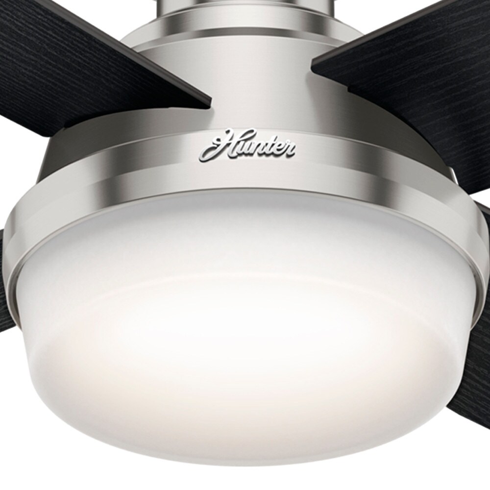 Hunter 59241 Ceiling-Fans - View #15