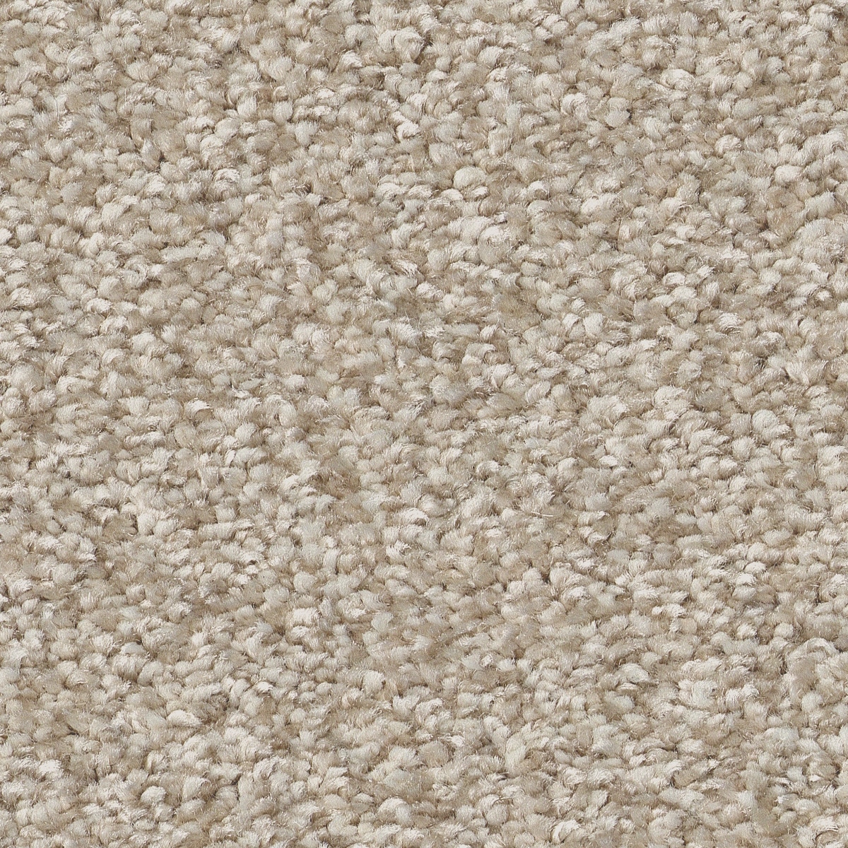 STAINMASTER 7L86800109 Effortless Appeal II Natural Brown 58.5-oz sq yard Polyester Textured Indoor Carpet