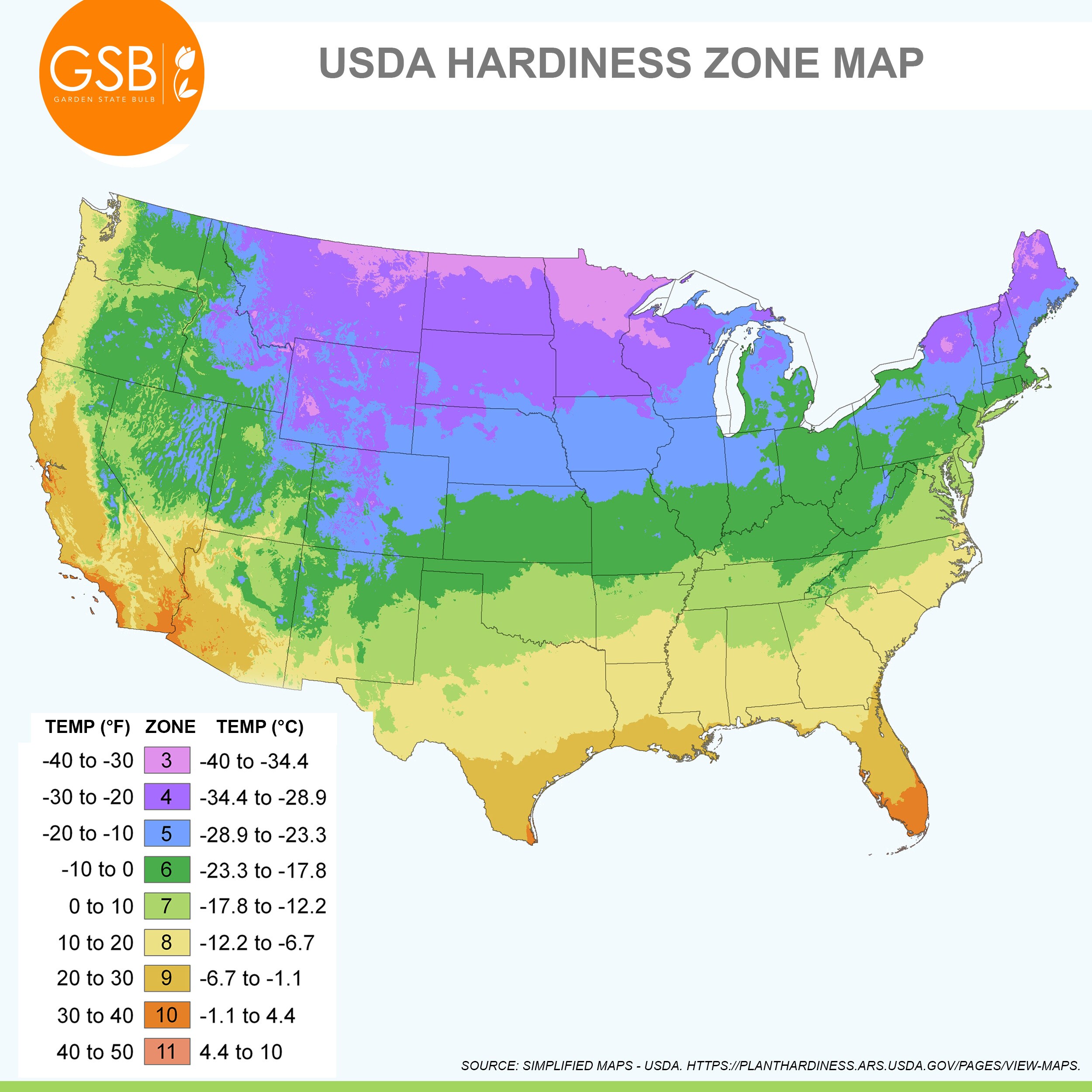 Garden State Bulb ECS-26-01-01 shrubs - View #9