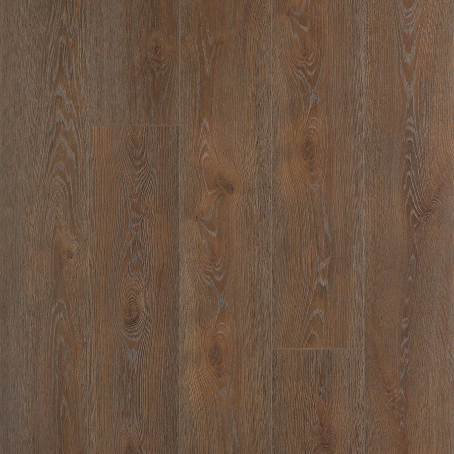 Pergo D Premier Cellar Oak 16 93 Sq Ft, Pergo Max Premier Laminate Flooring