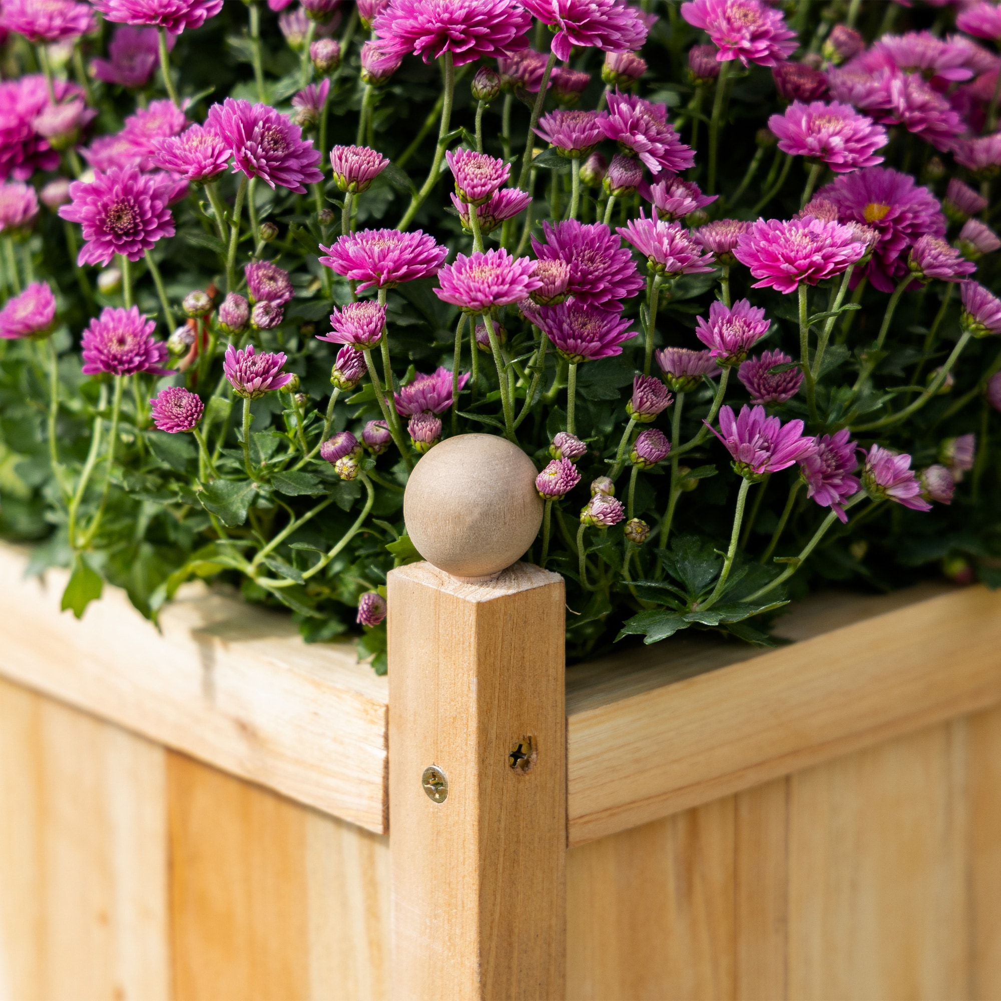 AHIOU HOME ZAAHG-P174406GB Raised-Planter-Boxes - View #4