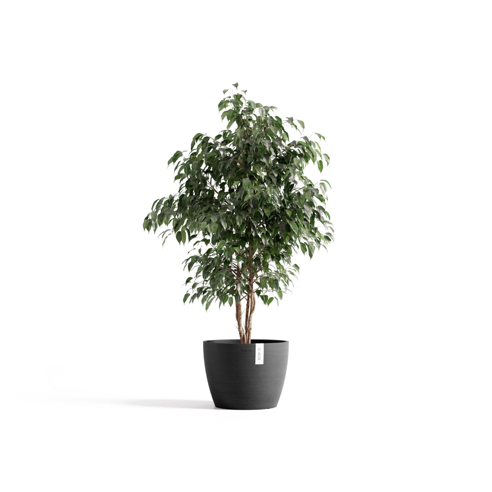ECOPOTS 5413724329923 Planter-Window-Box - View #4